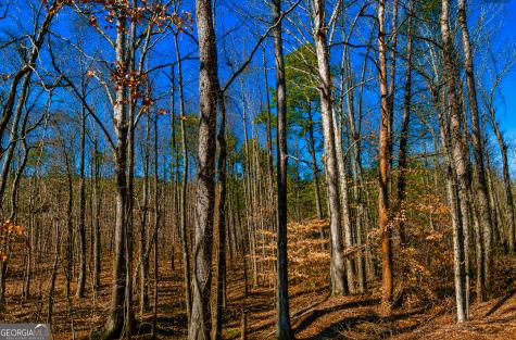2 Acres Pettit Road Jasper GA 30143