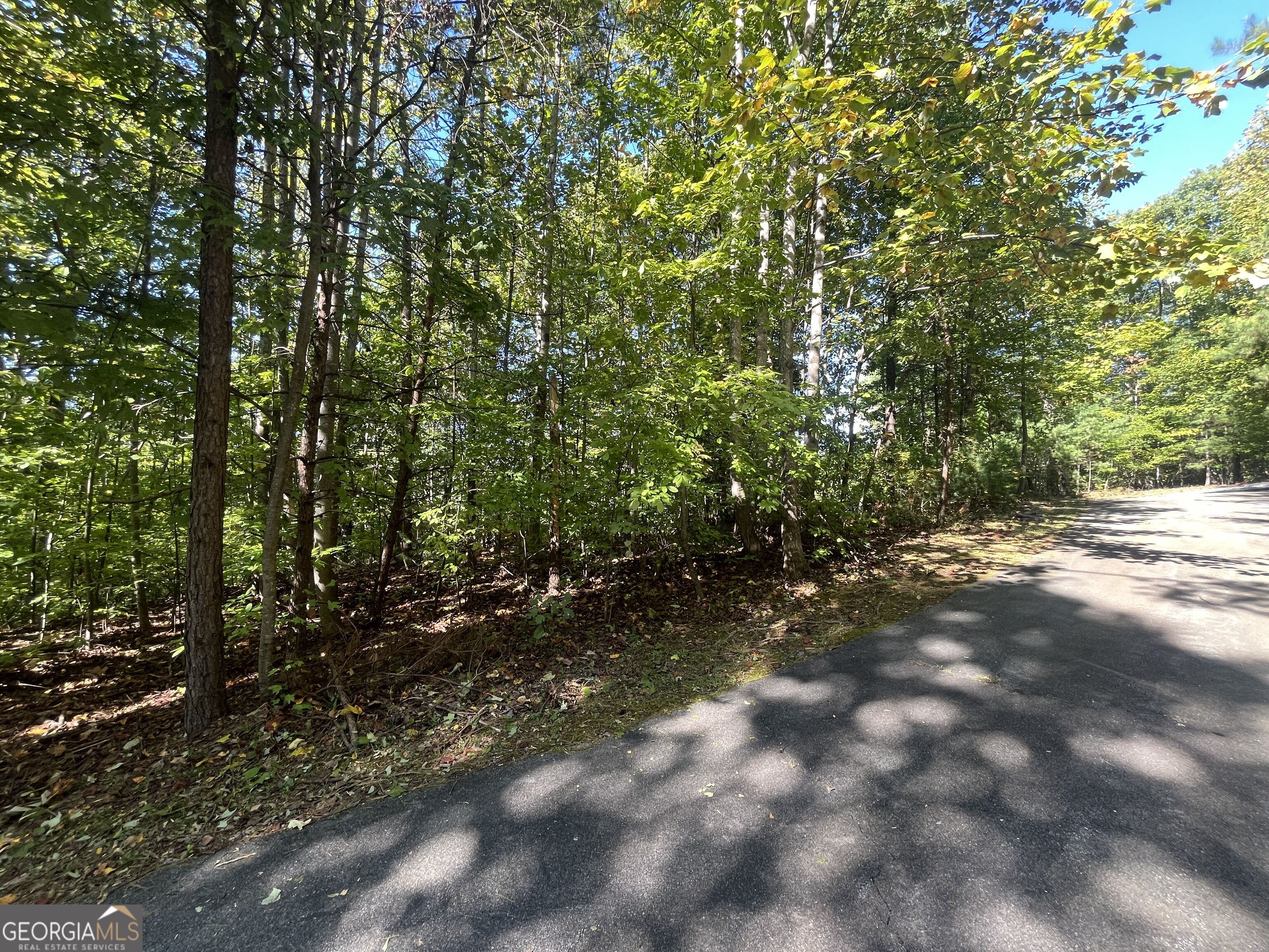 0 Lancelot Loop Clayton GA 30525