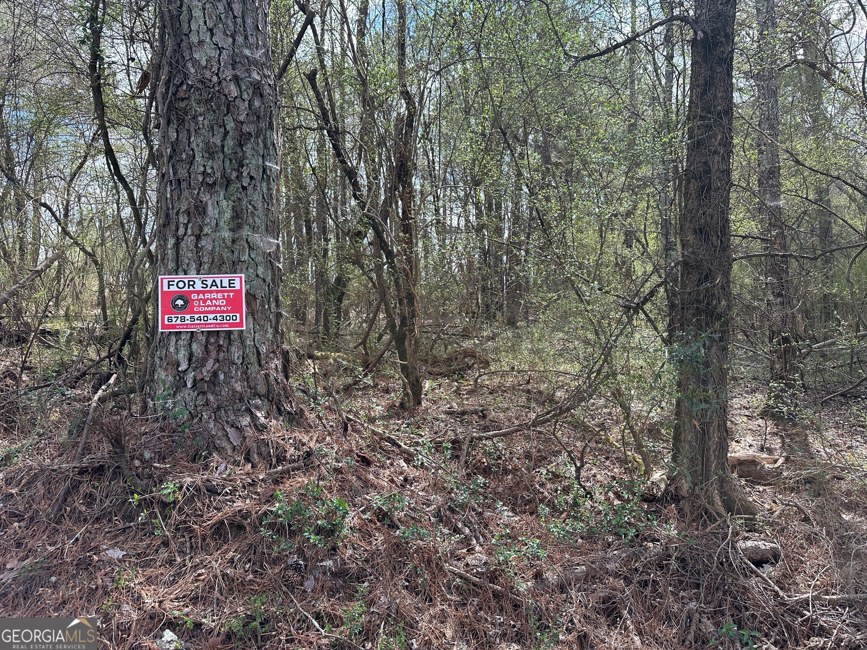 0 Popham Road Taylorsville GA 30178