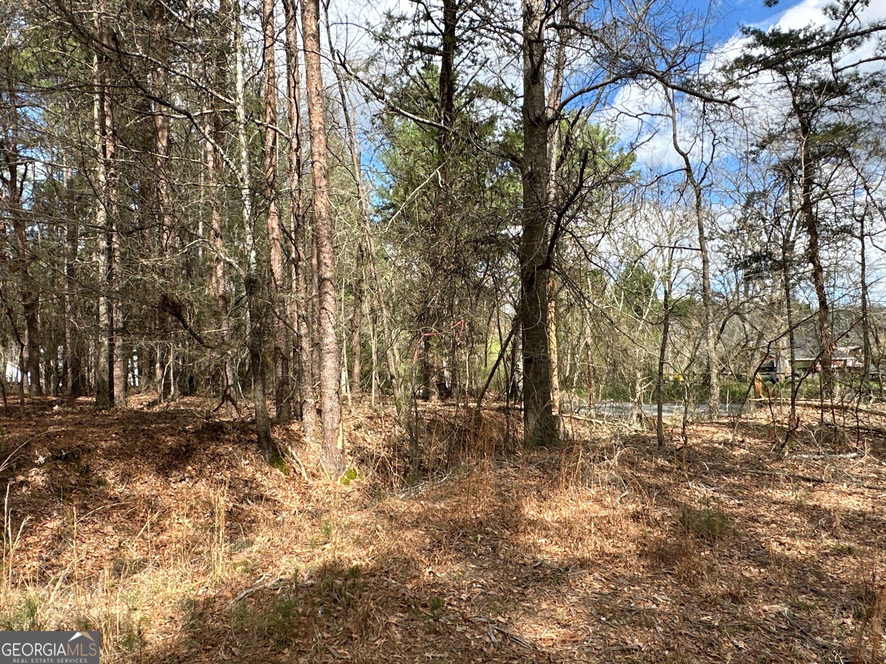0 Popham Road Taylorsville GA 30178