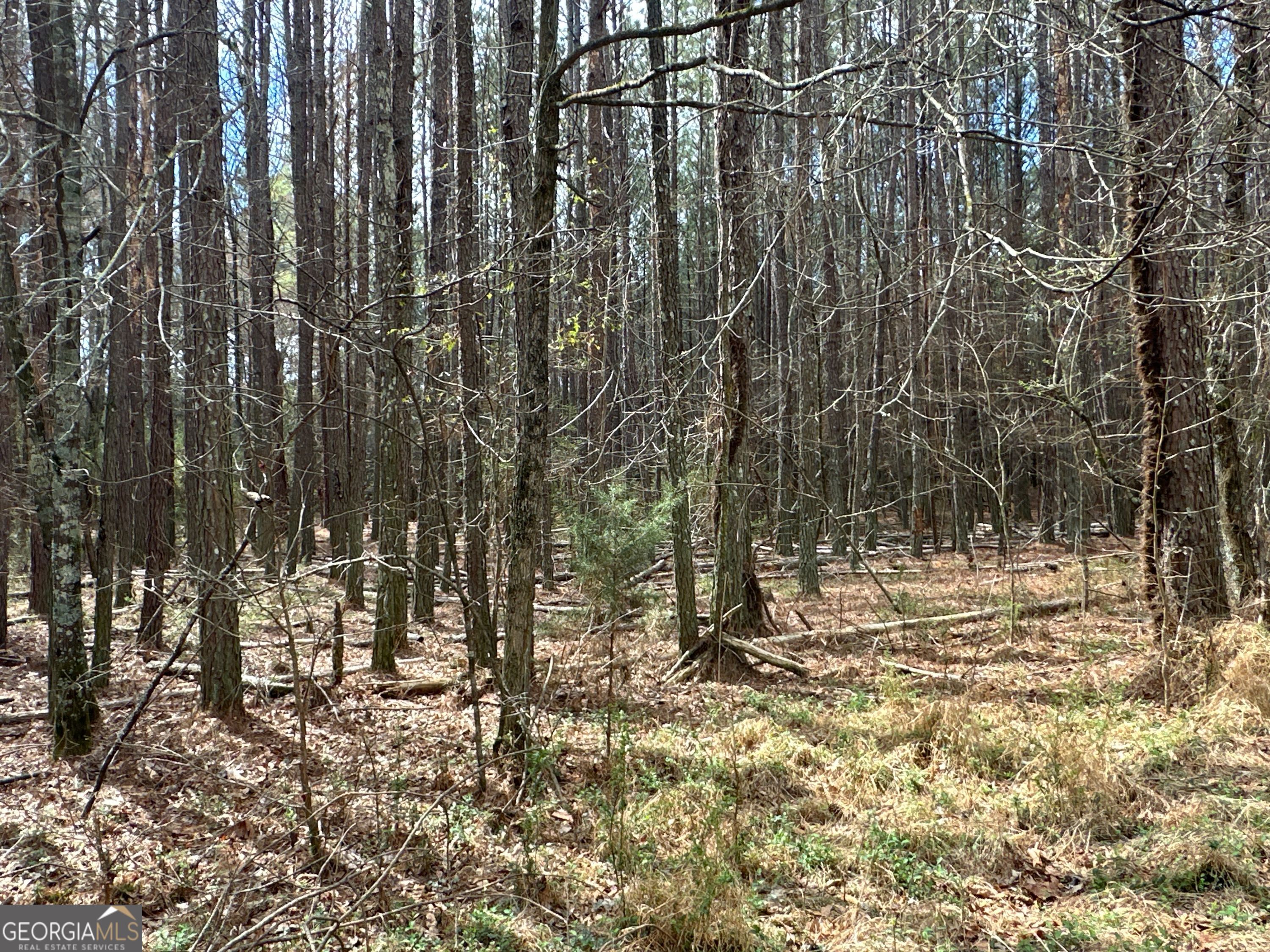 0 Popham Road Taylorsville GA 30178