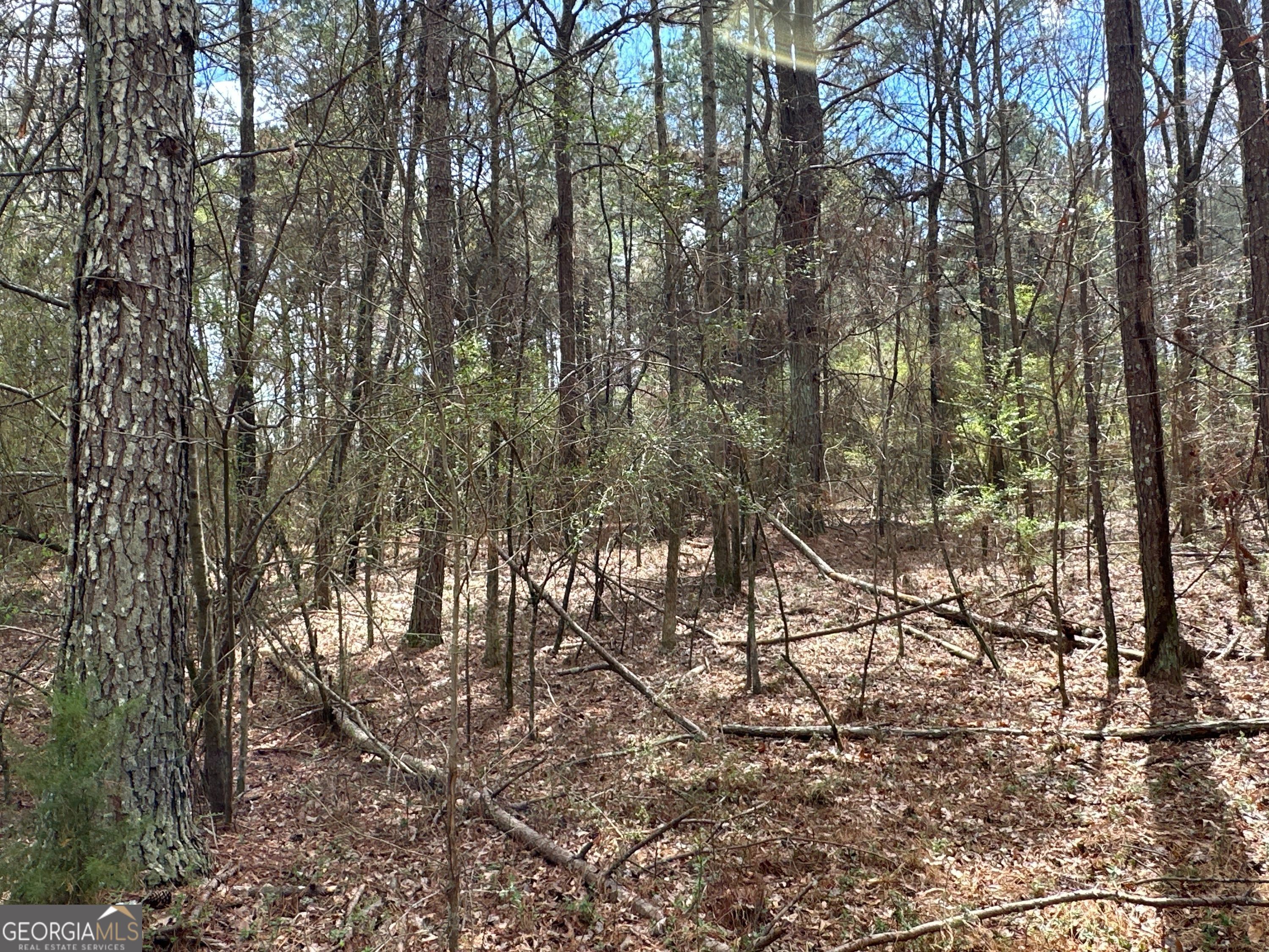 0 Popham Road Taylorsville GA 30178