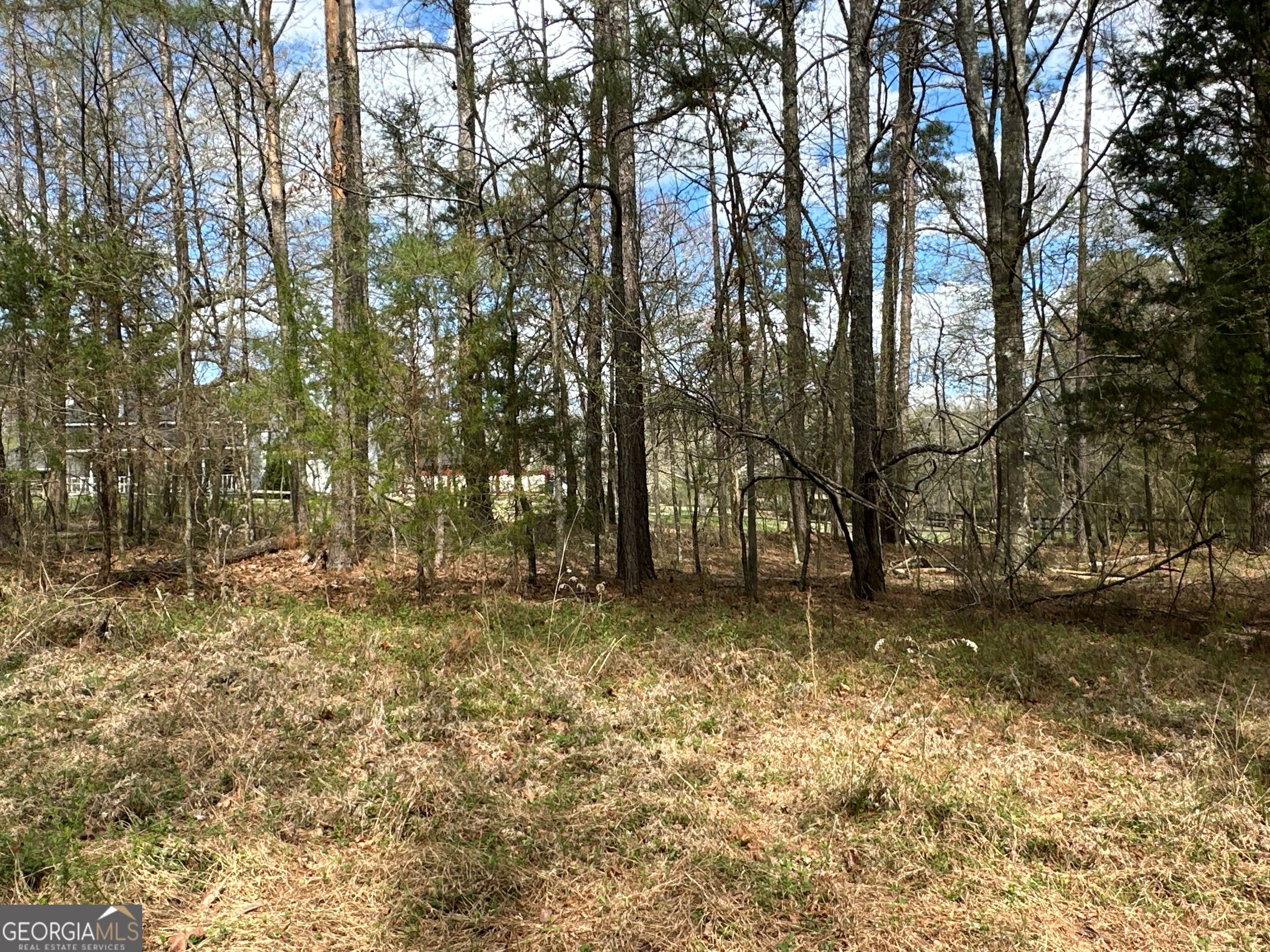 0 Popham Road Taylorsville GA 30178