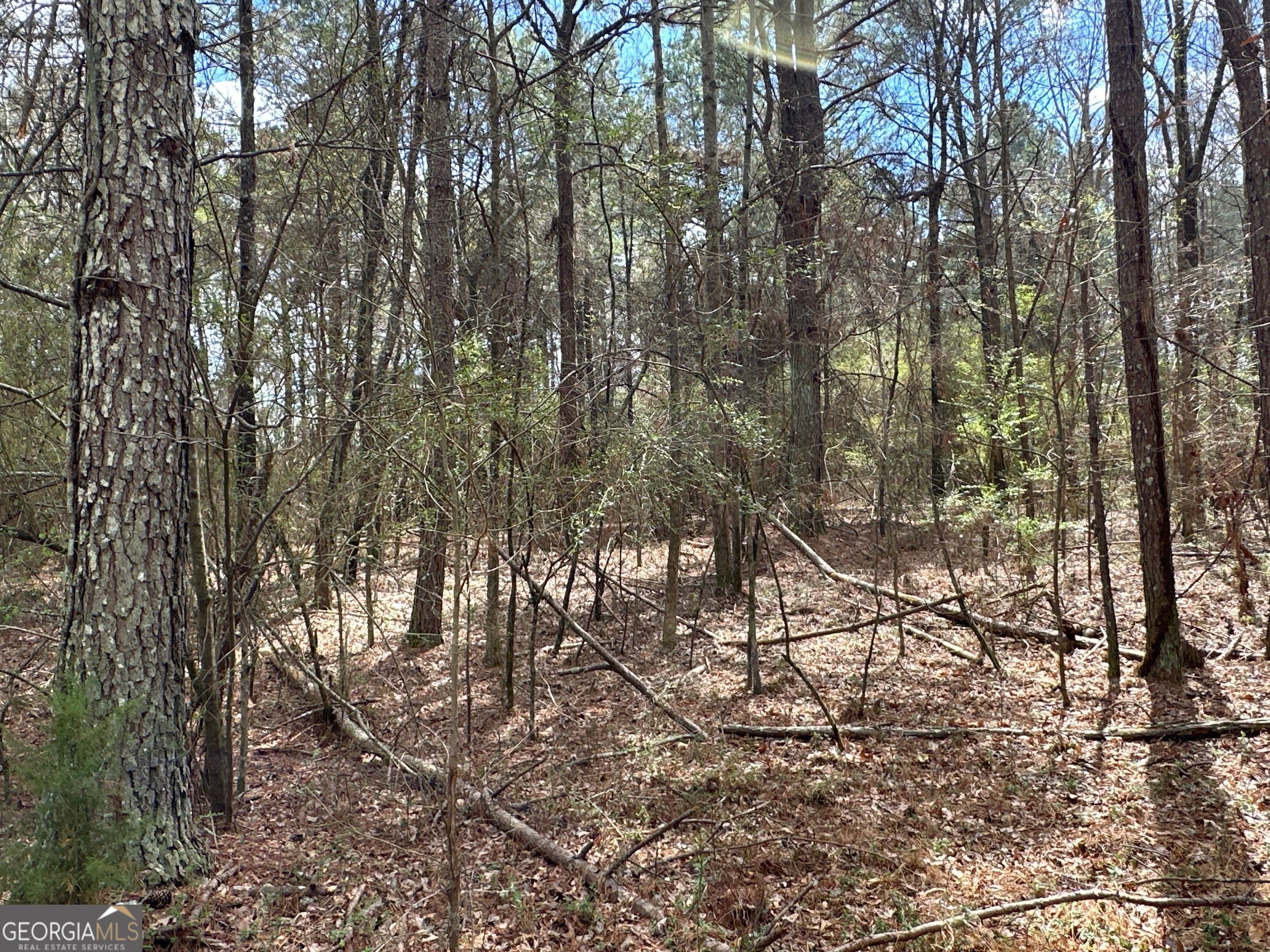 0 Popham Road Taylorsville GA 30178