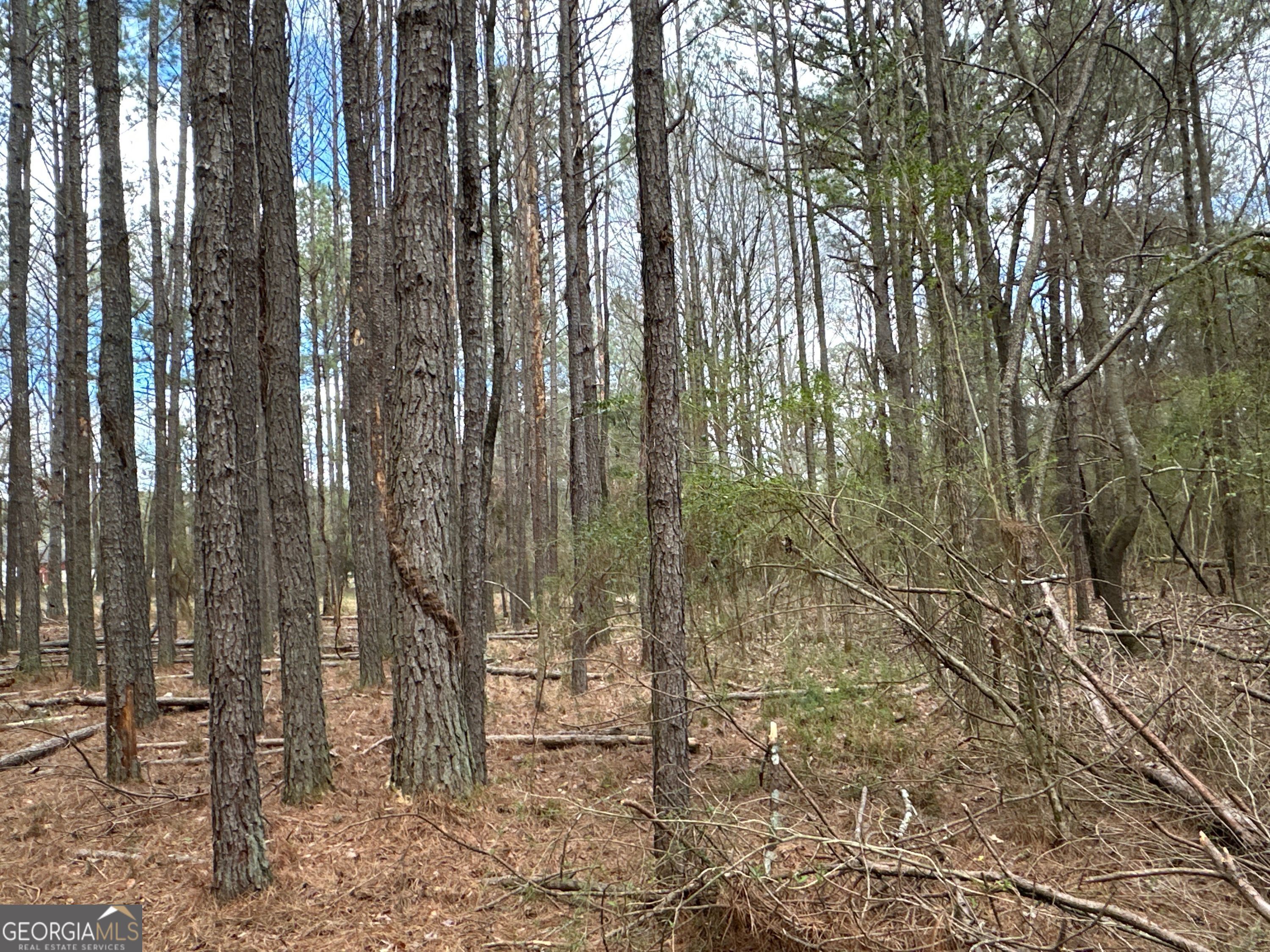 0 Popham Road Taylorsville GA 30178