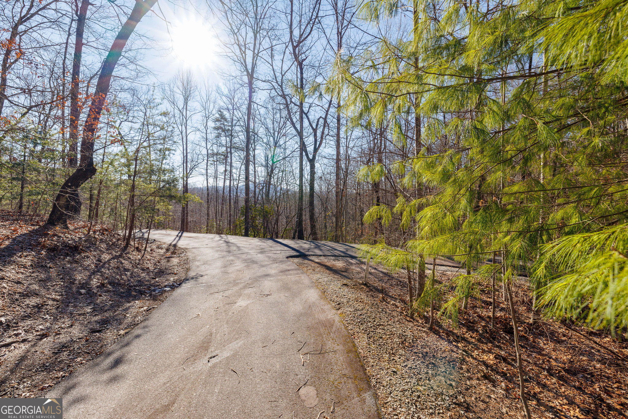 0 Forest Canopy Way Clayton GA 30525