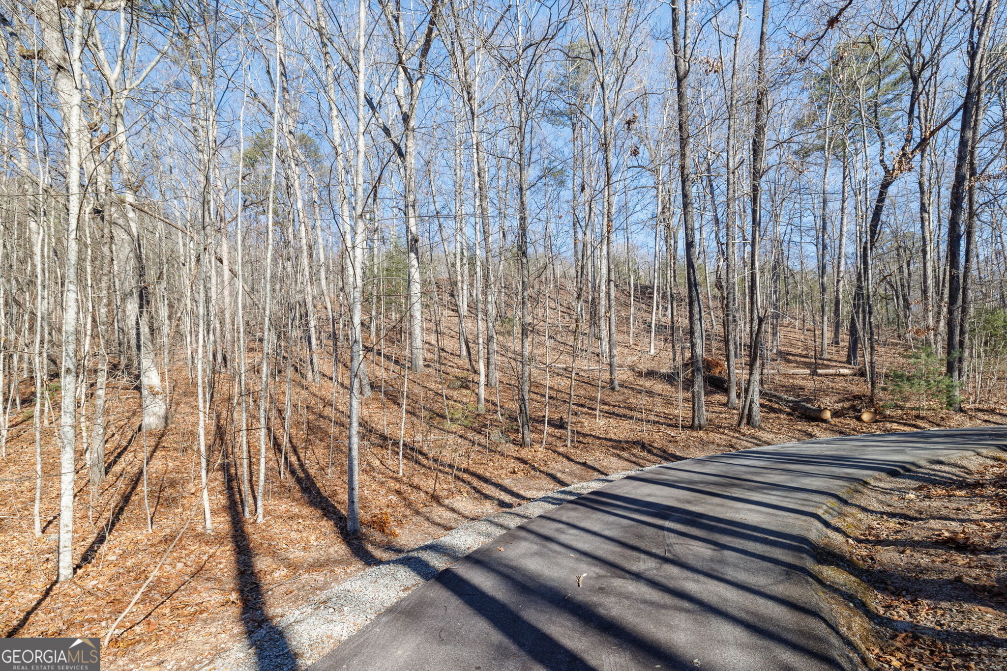 0 Forest Canopy Way Clayton GA 30525