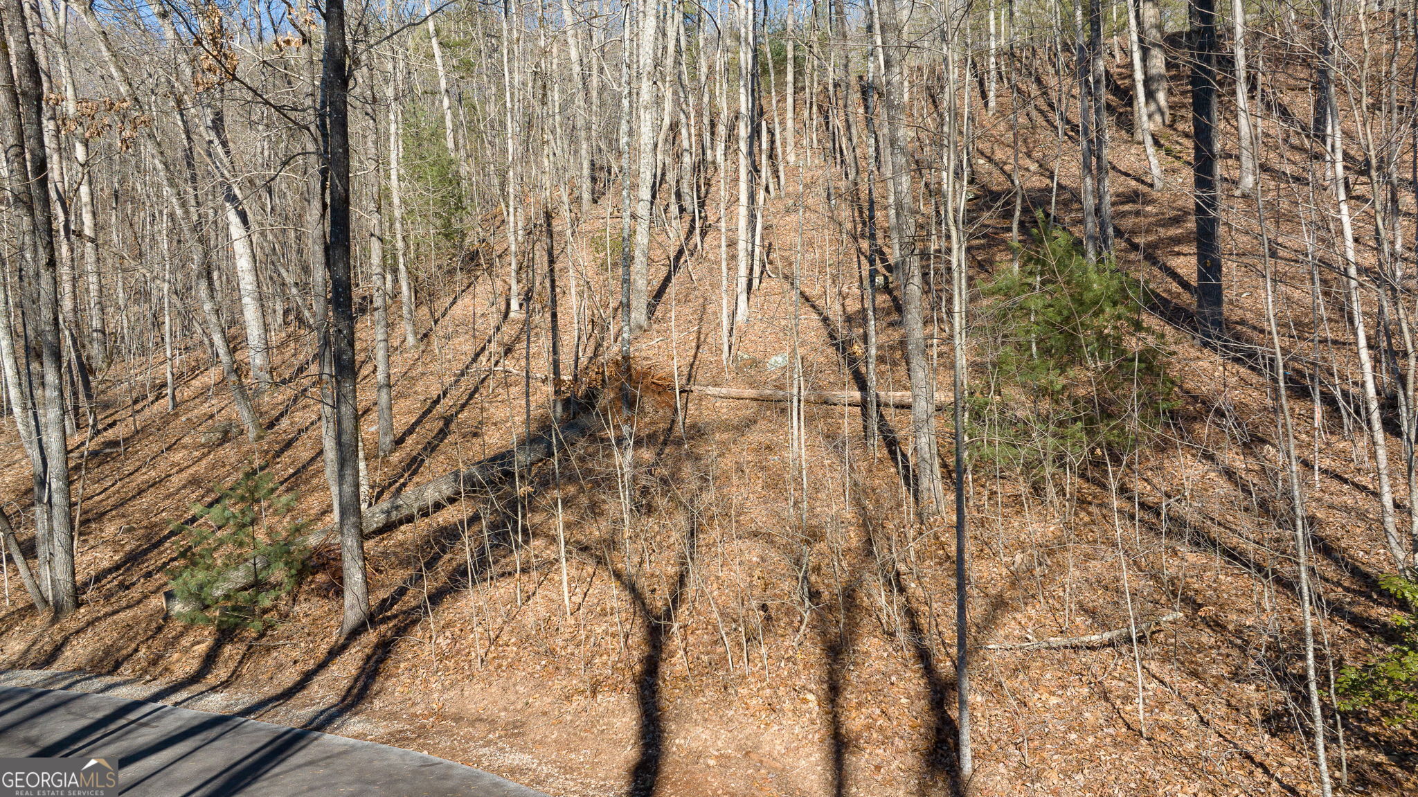 0 Forest Canopy Way Clayton GA 30525