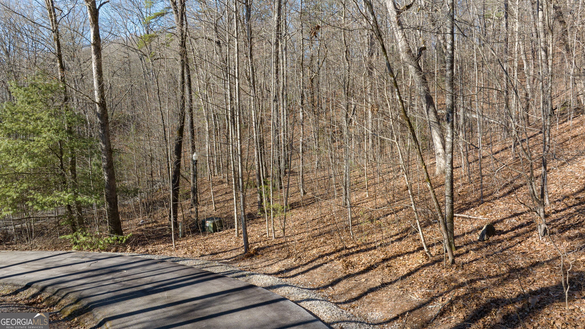 0 Forest Canopy Way Clayton GA 30525