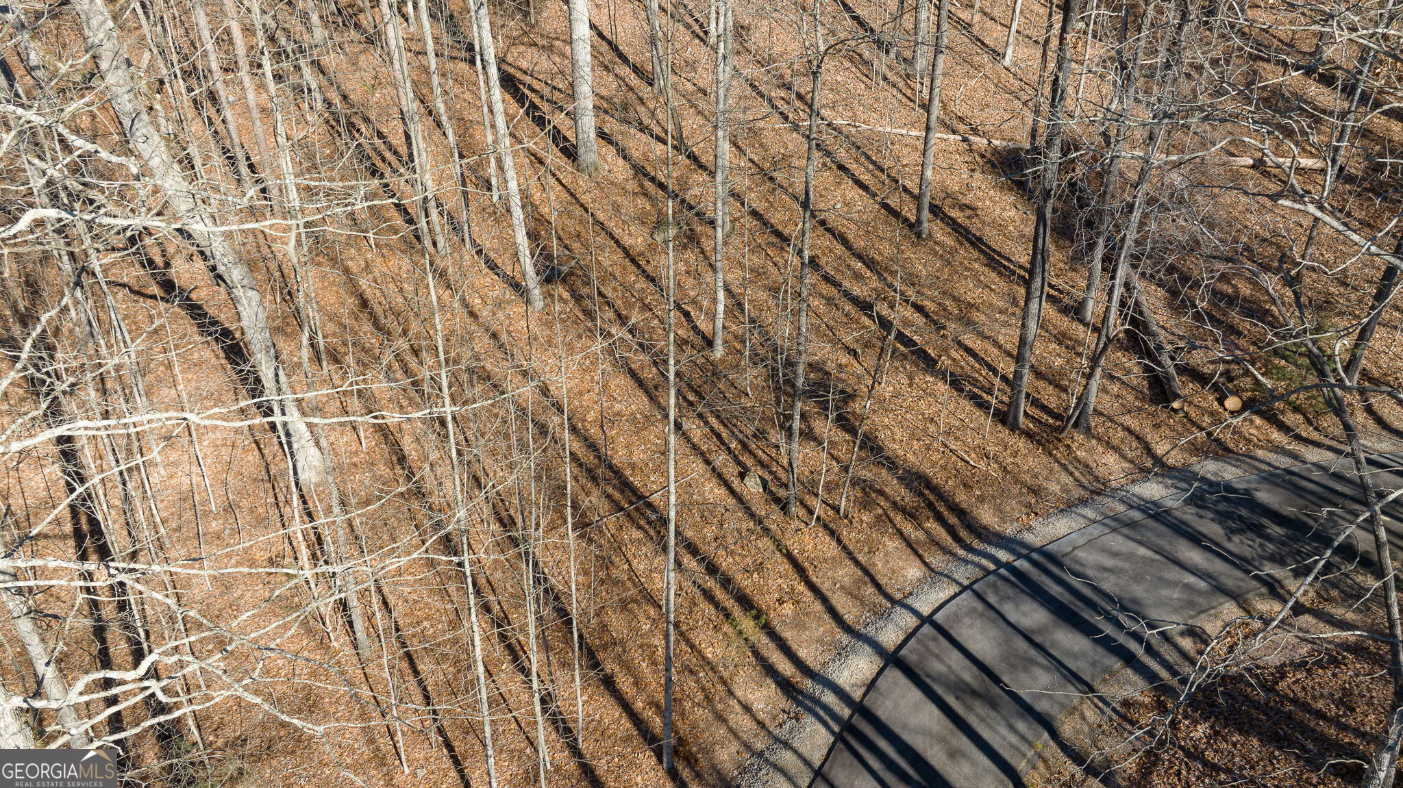 0 Forest Canopy Way Clayton GA 30525