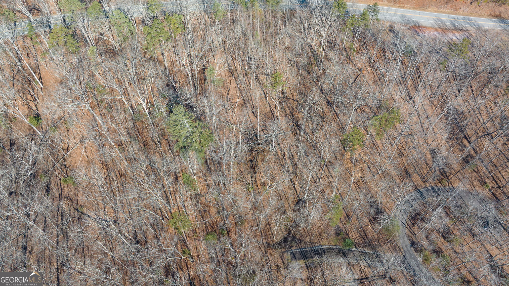0 Forest Canopy Way Clayton GA 30525
