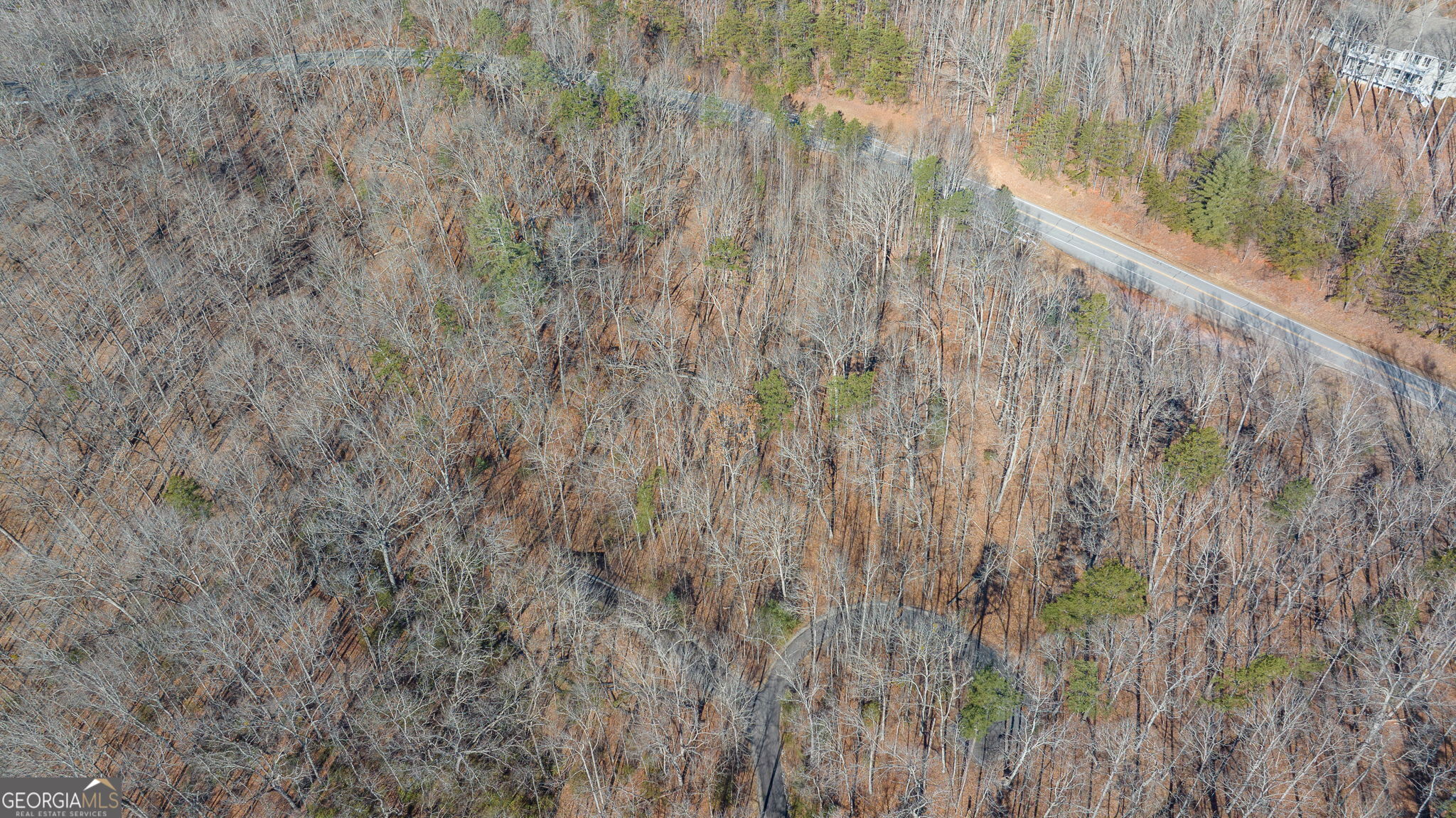 0 Forest Canopy Way Clayton GA 30525
