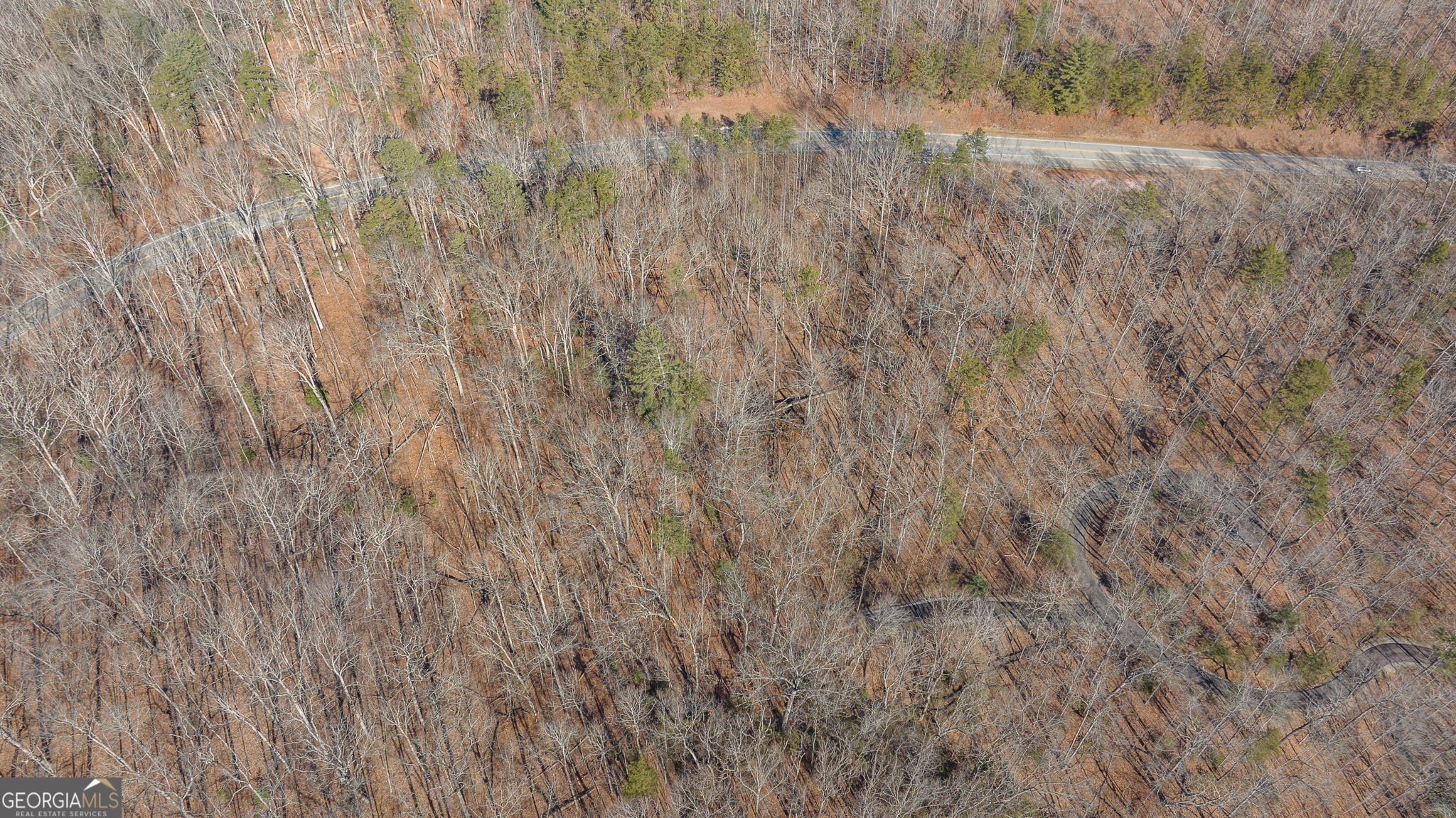 0 Forest Canopy Way Clayton GA 30525