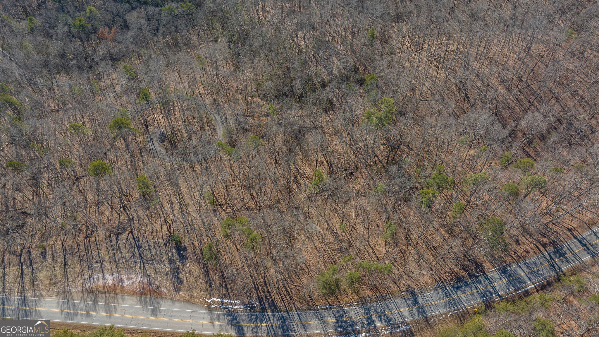 0 Forest Canopy Way Clayton GA 30525