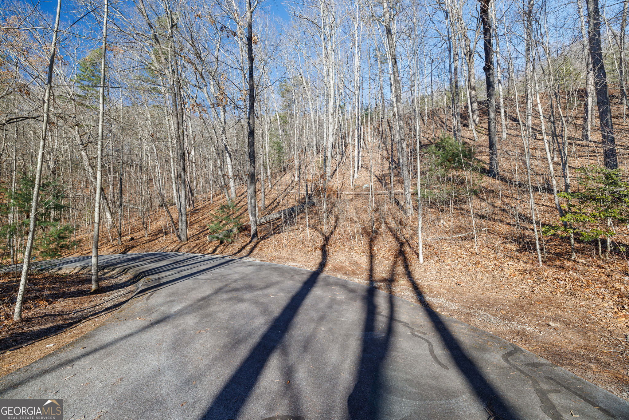 0 Forest Canopy Way Clayton GA 30525