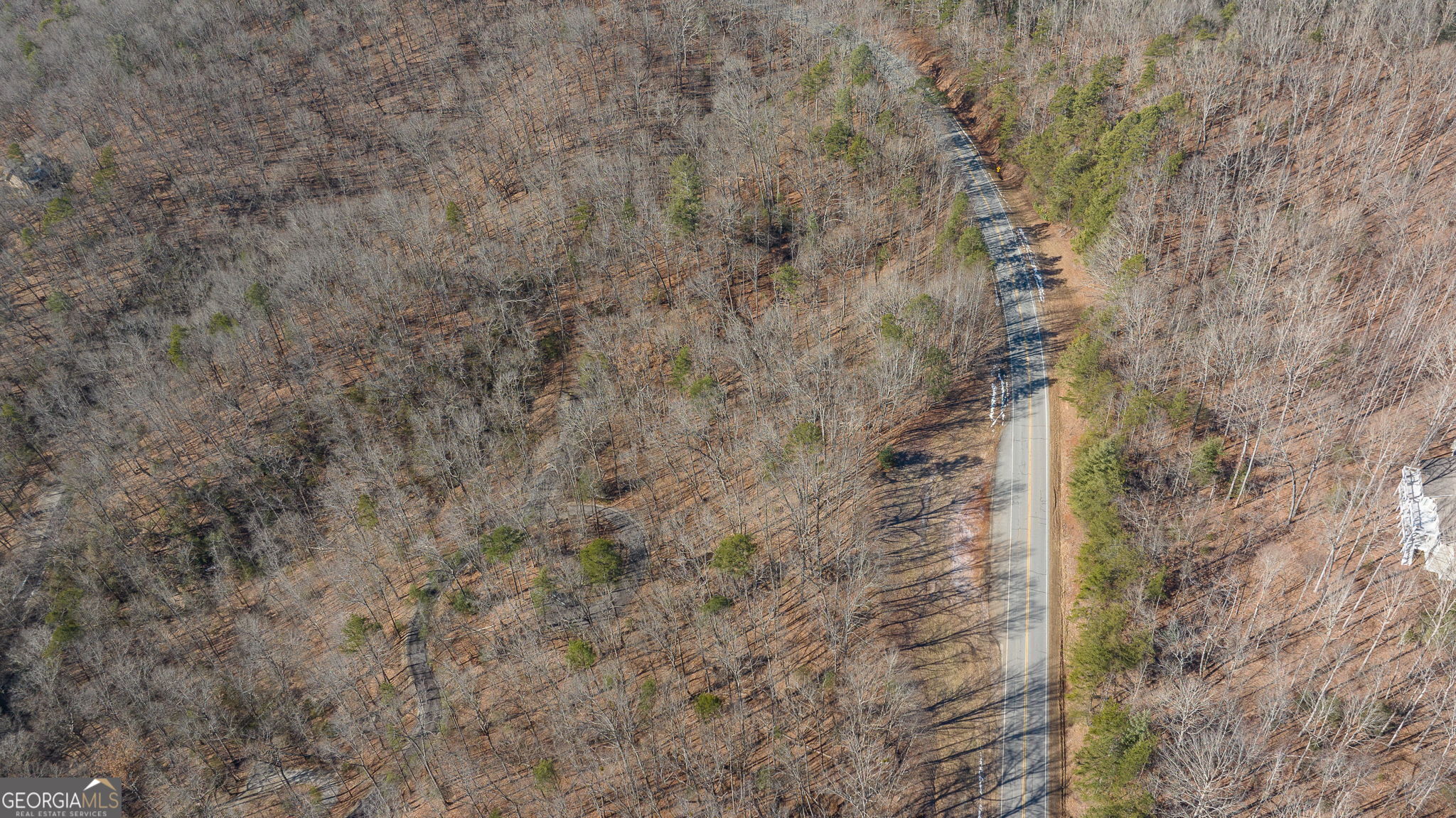 0 Forest Canopy Way Clayton GA 30525