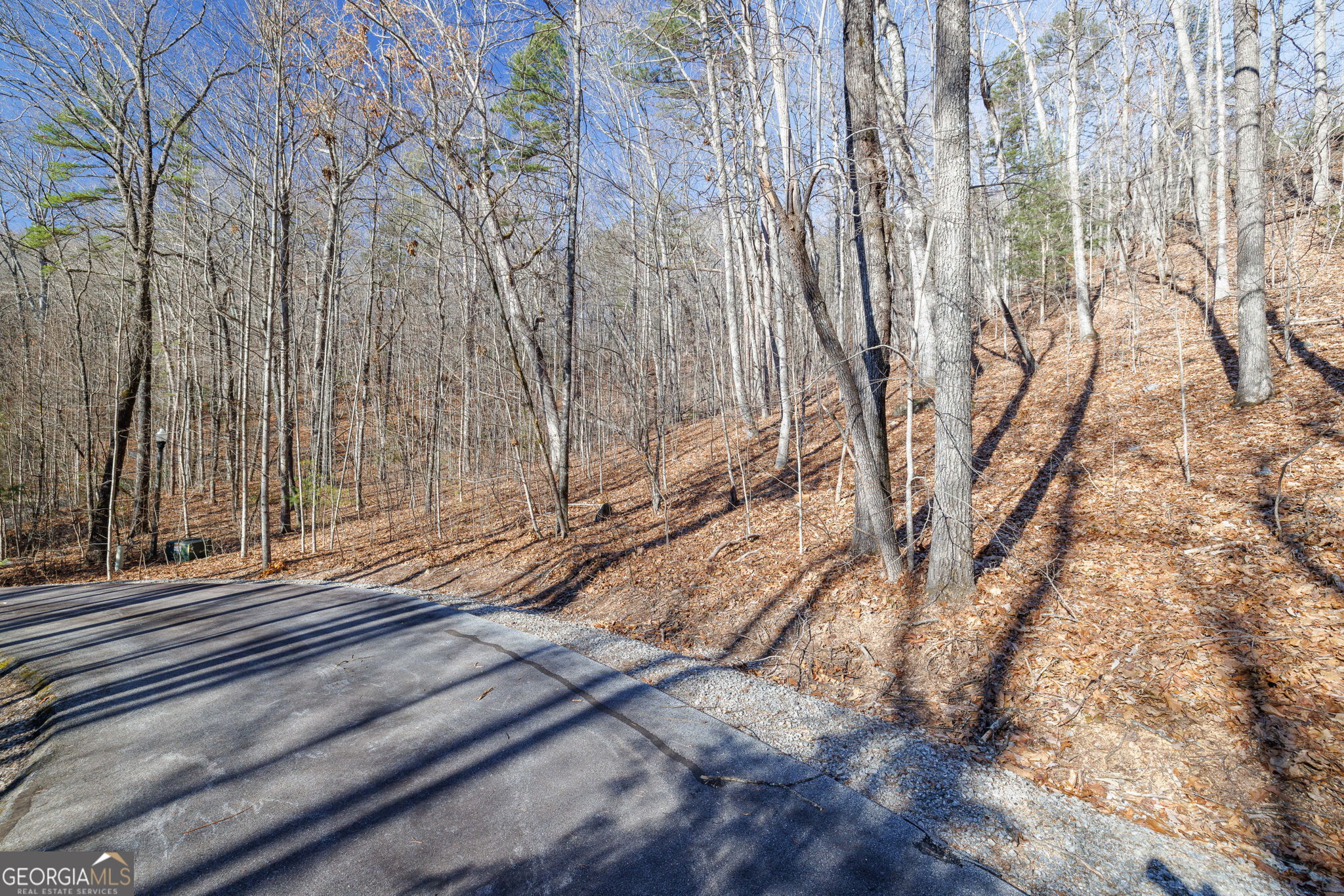 0 Forest Canopy Way Clayton GA 30525