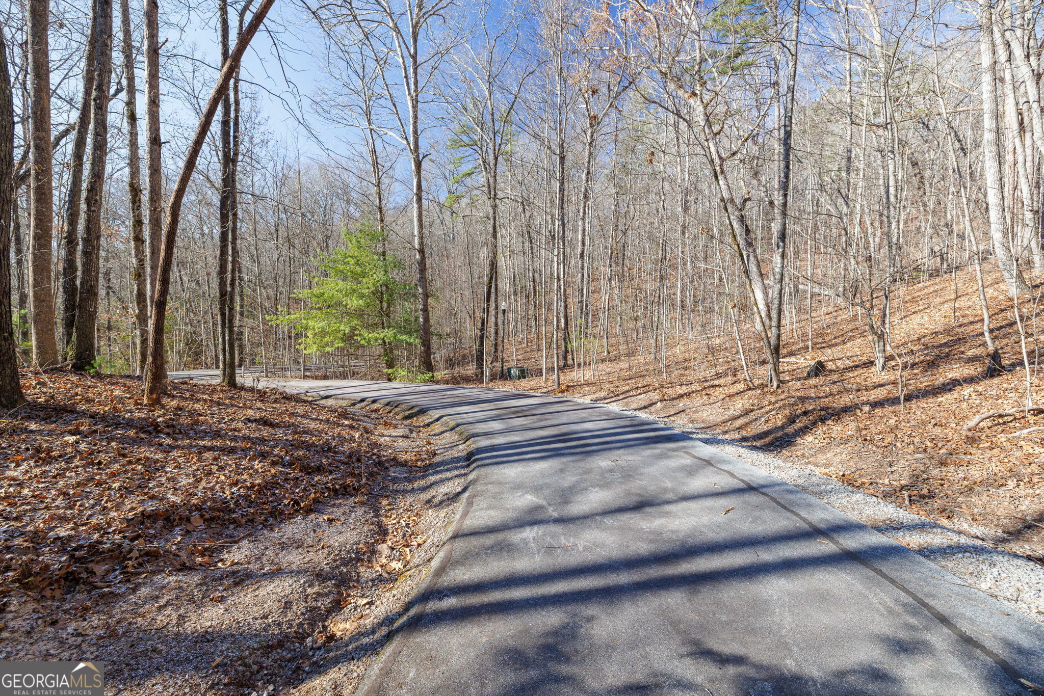 0 Forest Canopy Way Clayton GA 30525