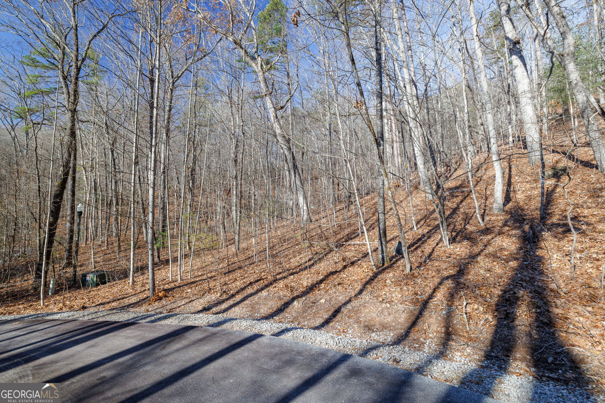 0 Forest Canopy Way Clayton GA 30525