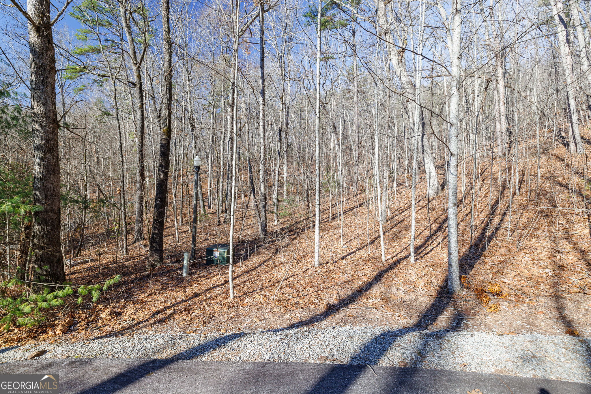 0 Forest Canopy Way Clayton GA 30525