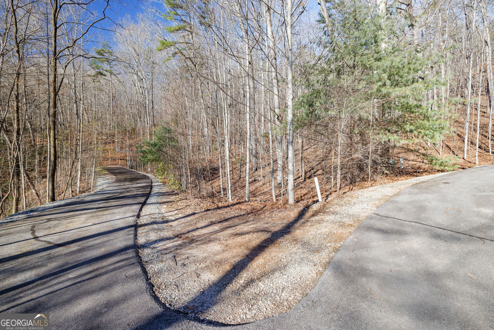 0 Forest Canopy Way Clayton GA 30525