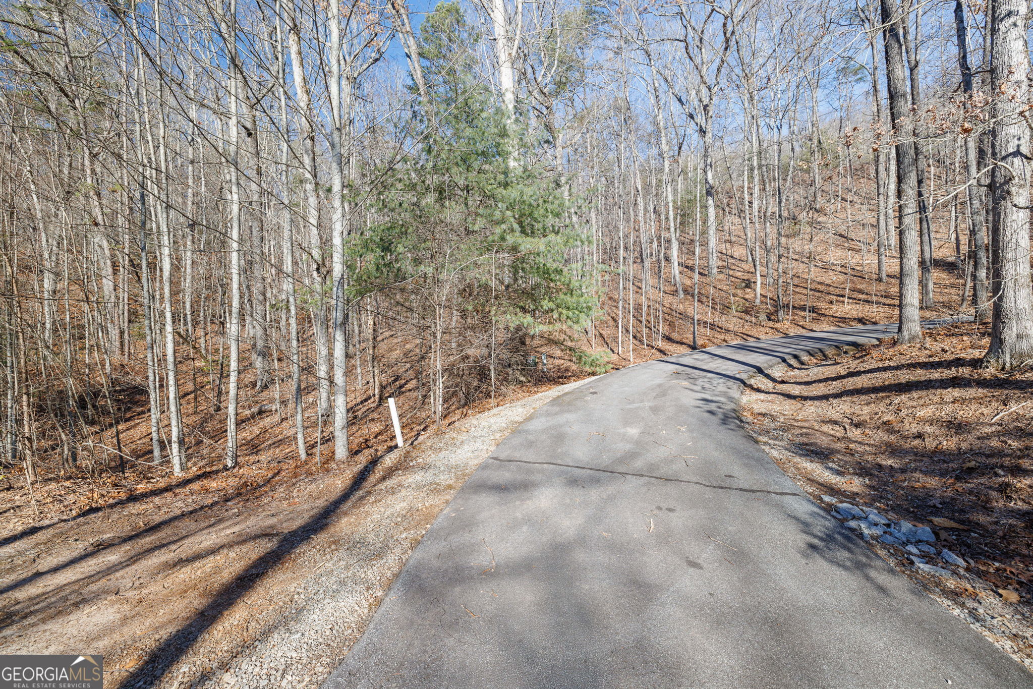 0 Forest Canopy Way Clayton GA 30525