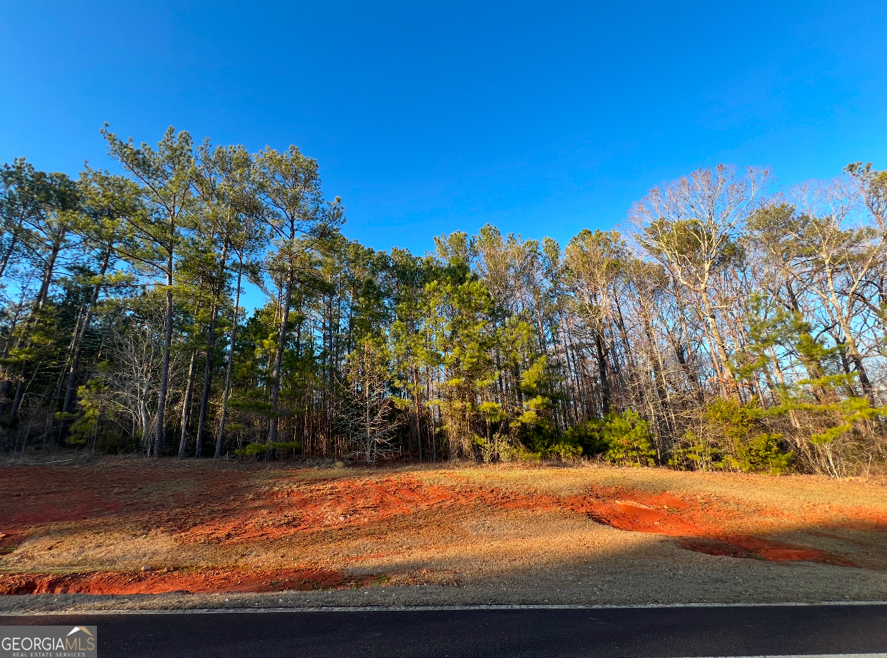 100 Gardens Drive Forsyth GA 31029