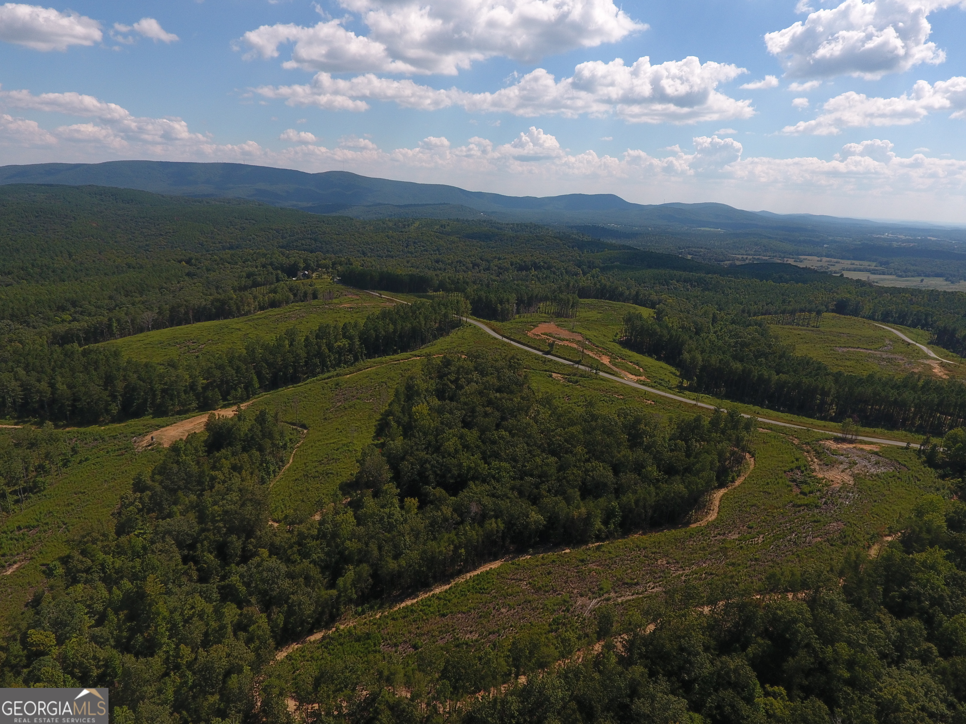 0 Johnson Mountain Road Rydal GA 30171