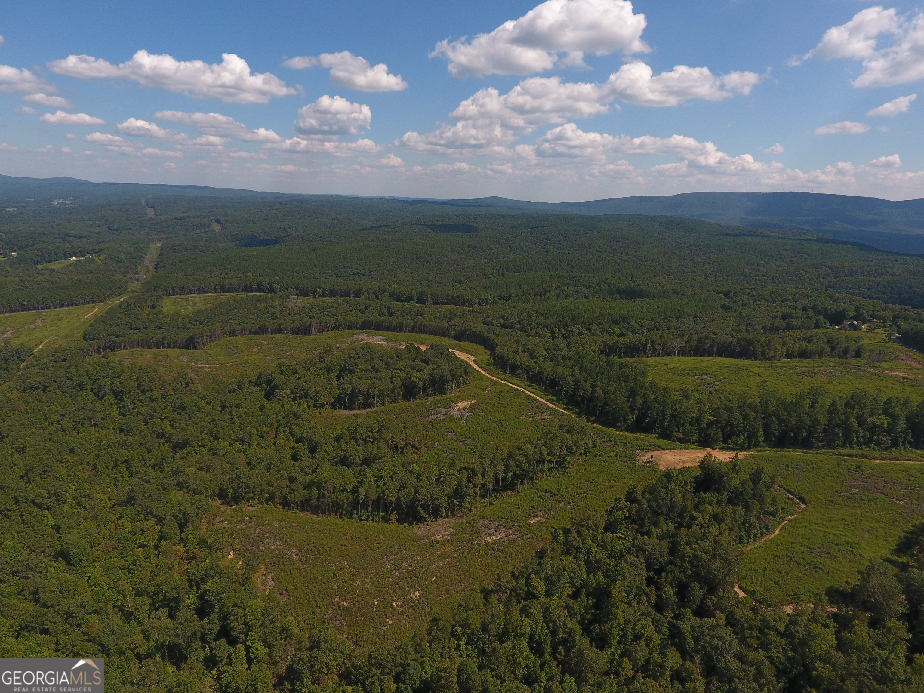 0 Johnson Mountain Road Rydal GA 30171