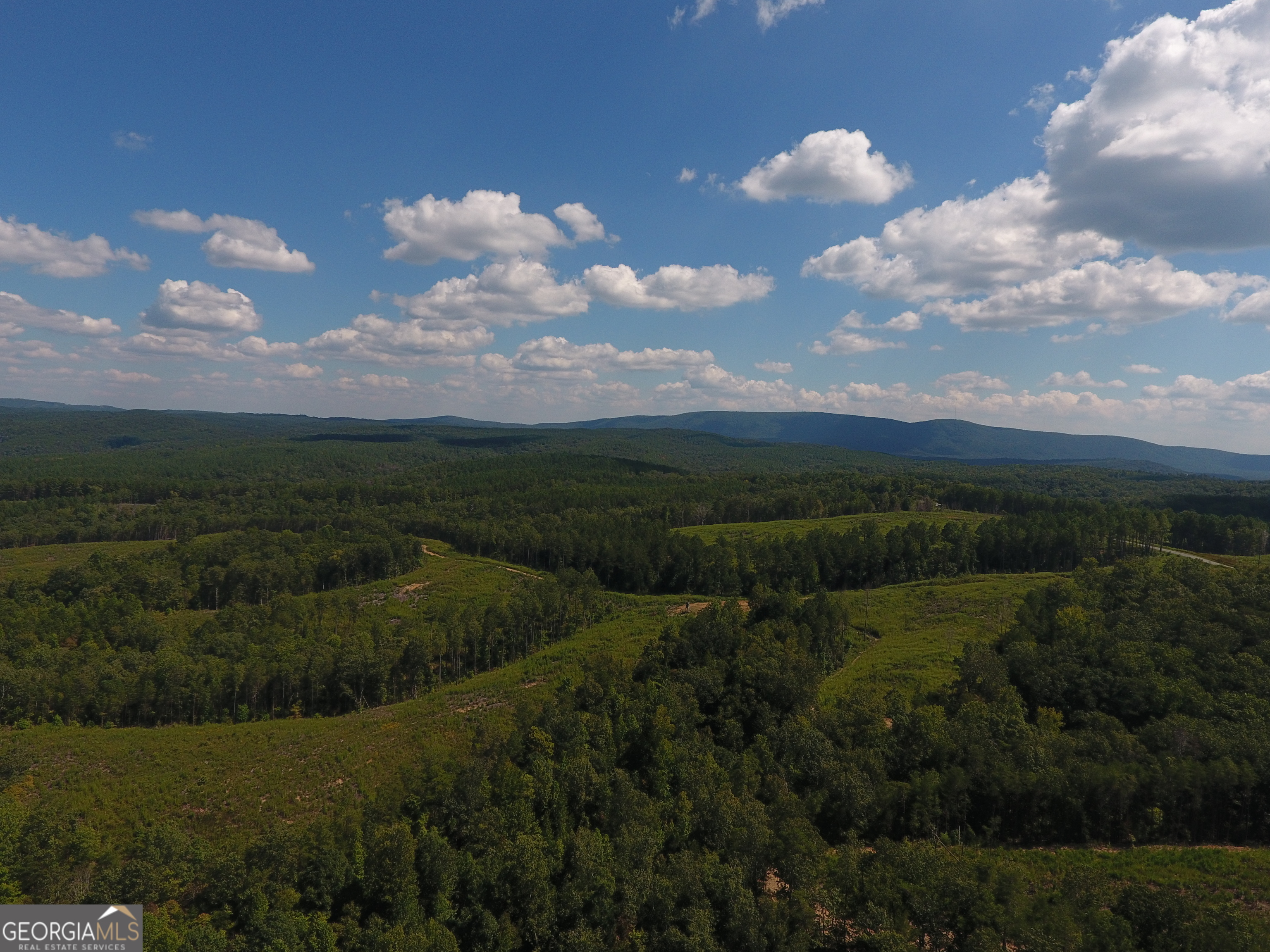 0 Johnson Mountain Road Rydal GA 30171