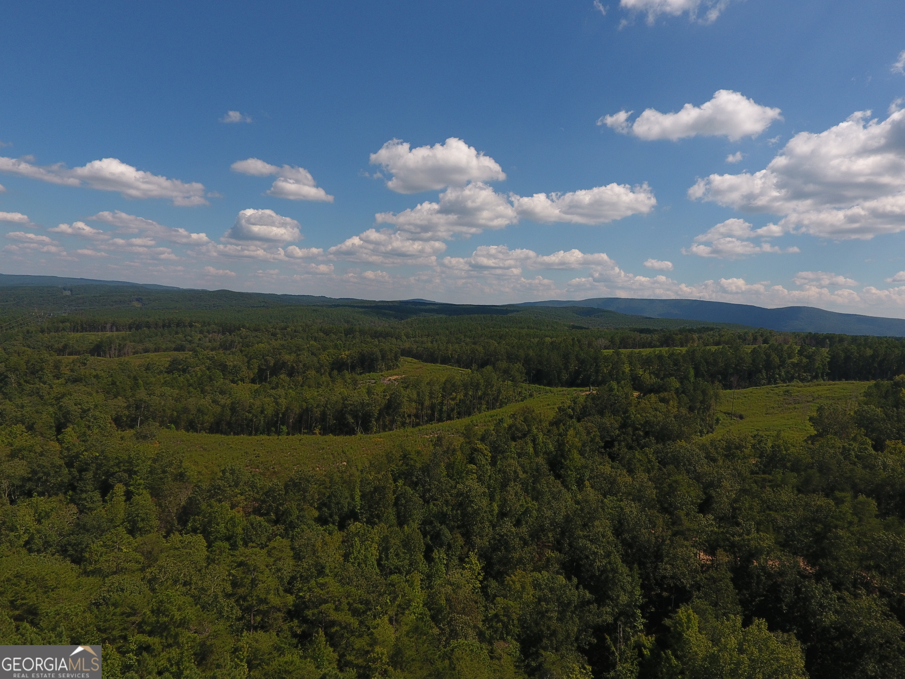 0 Johnson Mountain Road Rydal GA 30171