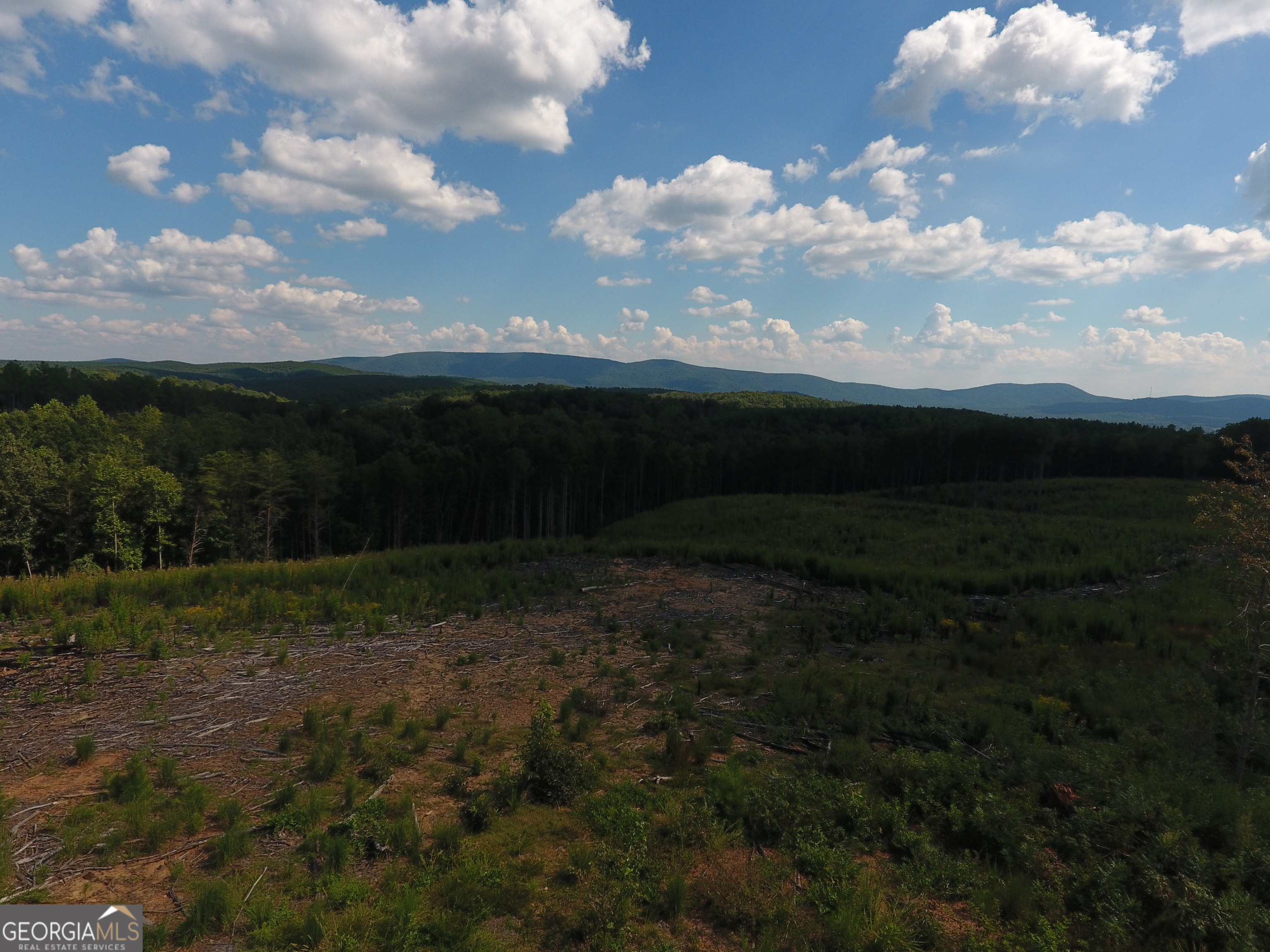 0 Johnson Mountain Road Rydal GA 30171