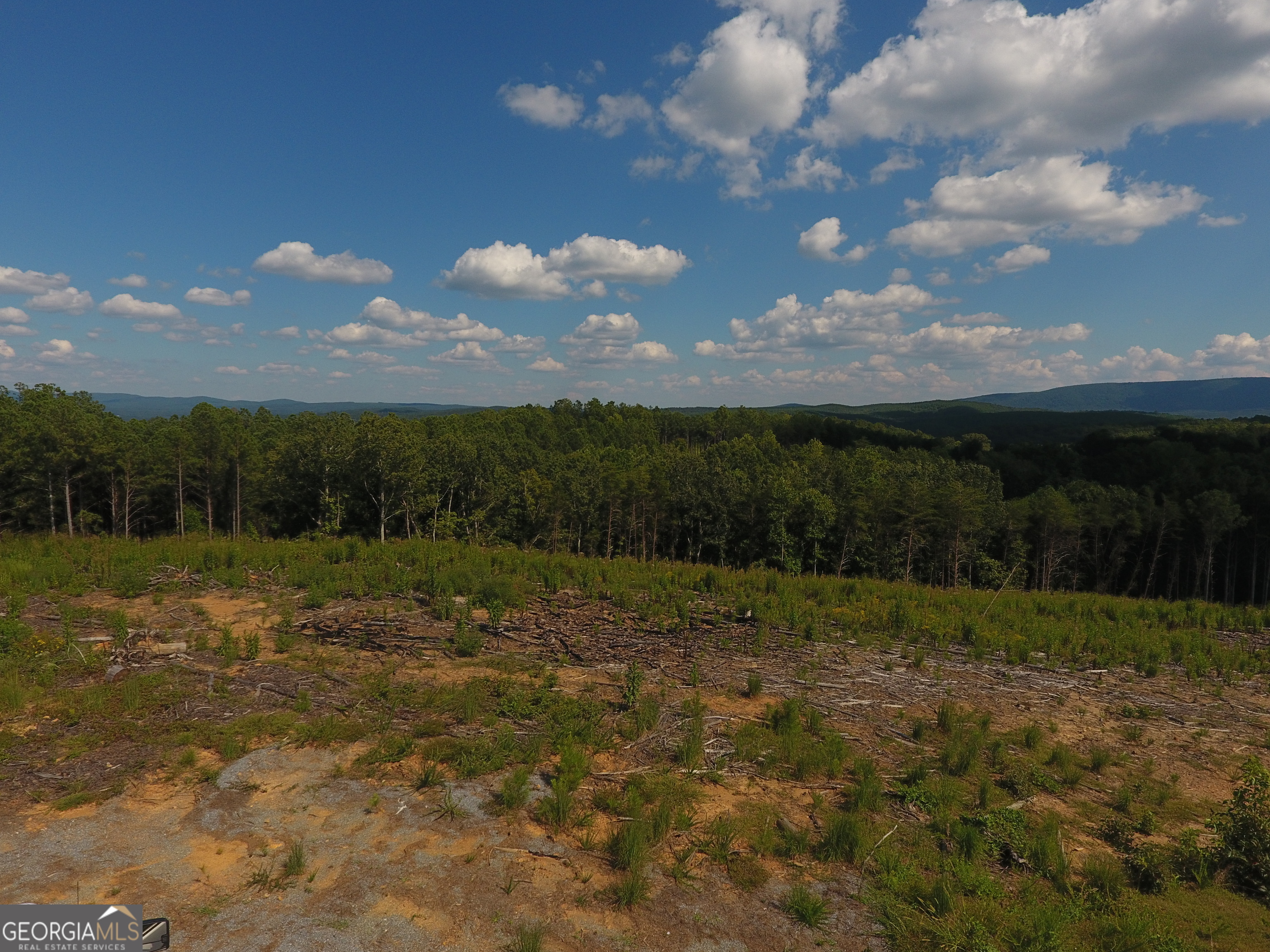 0 Johnson Mountain Road Rydal GA 30171