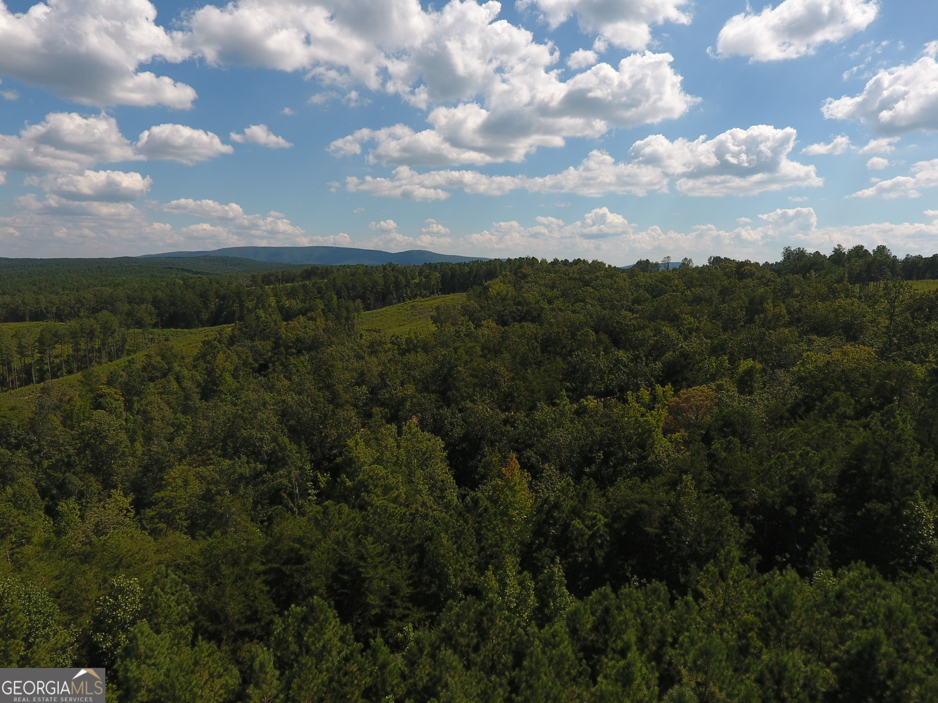 0 Johnson Mountain Road Rydal GA 30171