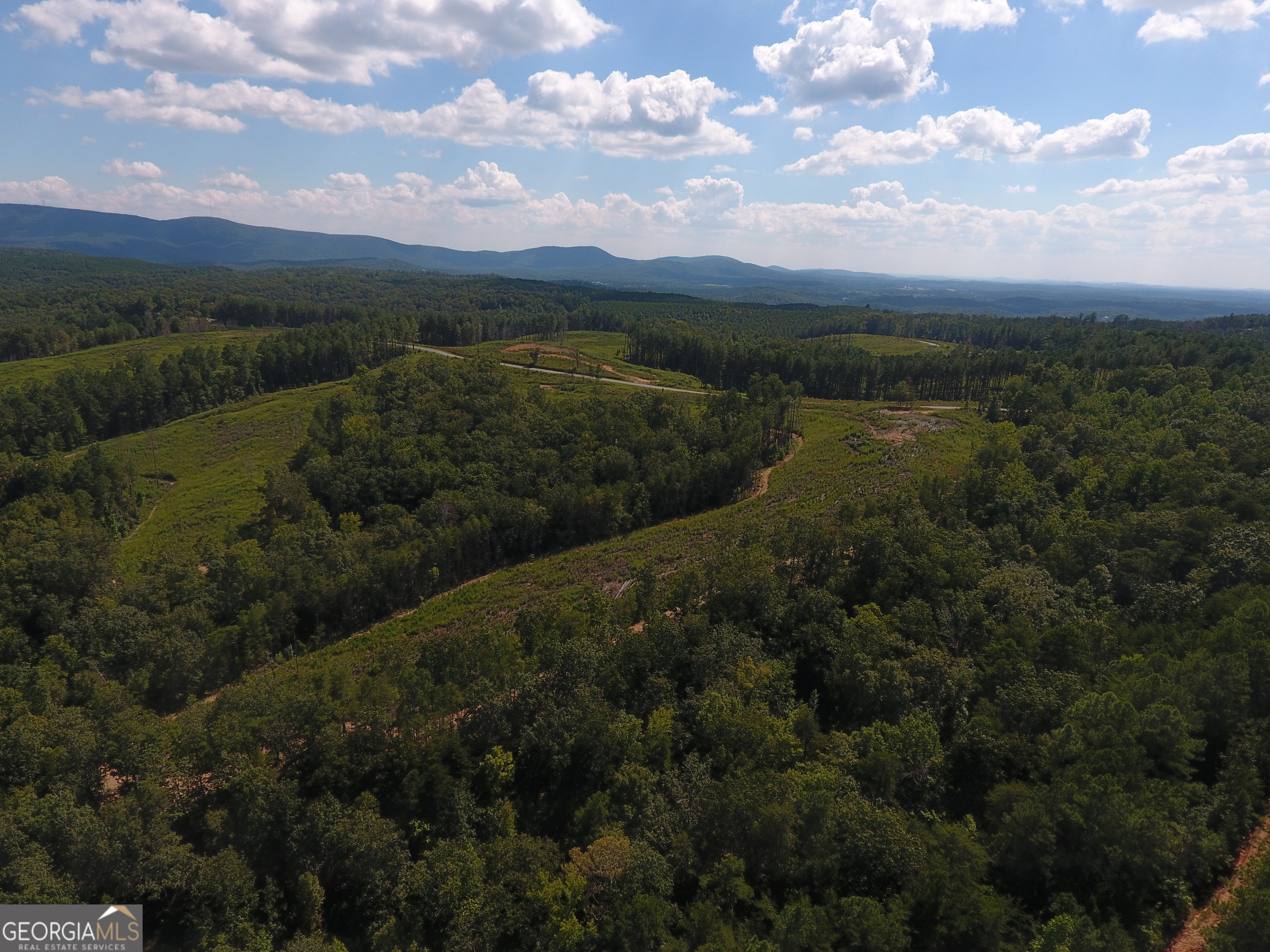0 Johnson Mountain Road Rydal GA 30171