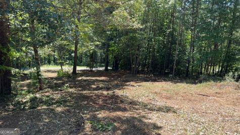 1565 Davis Road Hiawassee GA 30546