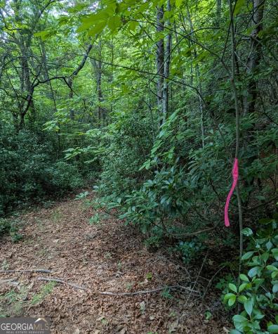 1565 Davis Road Hiawassee GA 30546