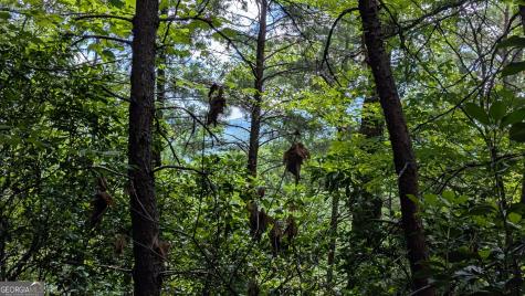 1565 Davis Road Hiawassee GA 30546