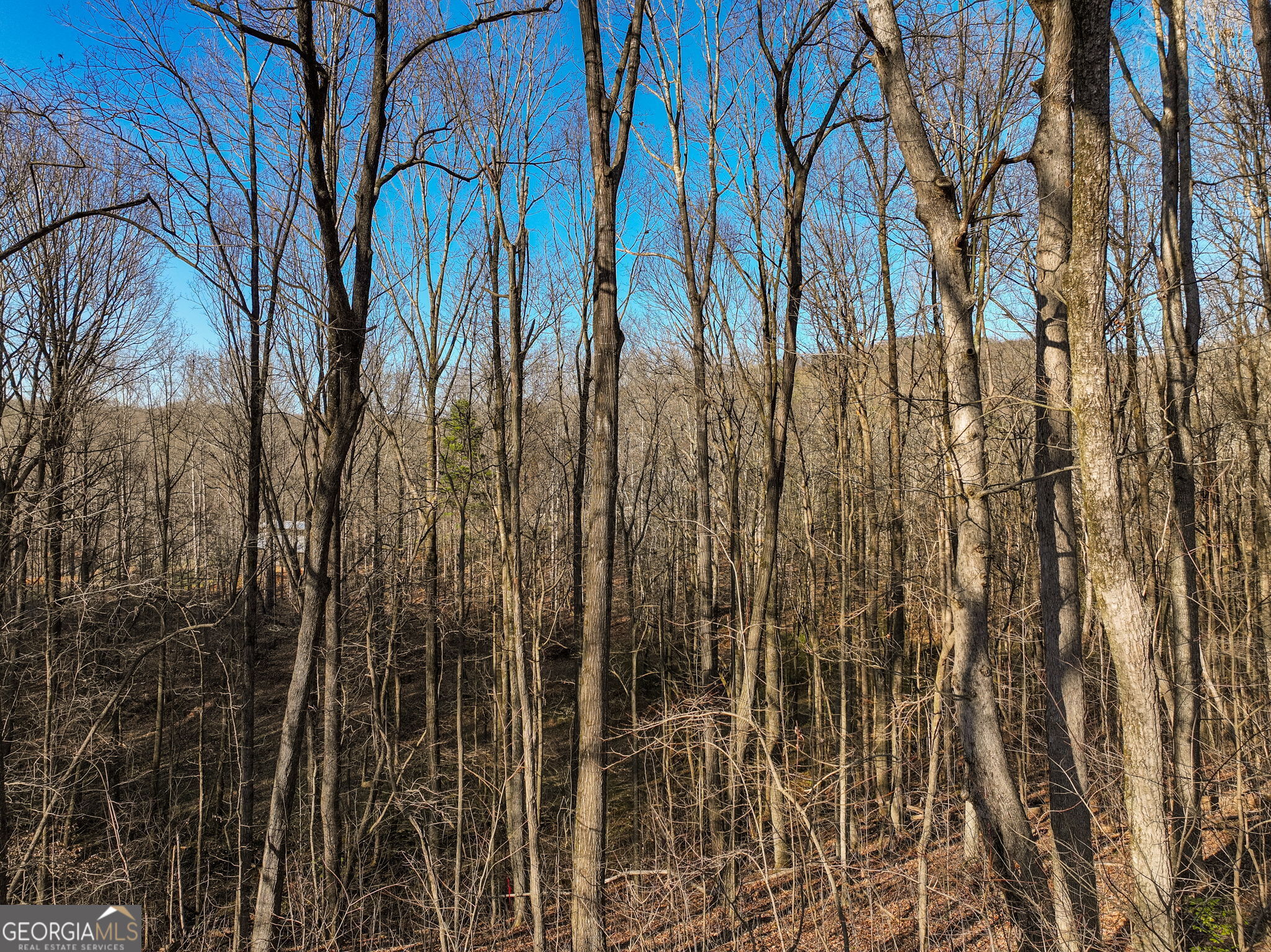 Lot 12 Mount Mincie Road Murrayville GA 30564