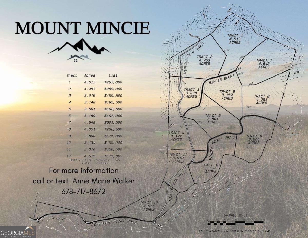 Lot 12 Mount Mincie Road Murrayville GA 30564