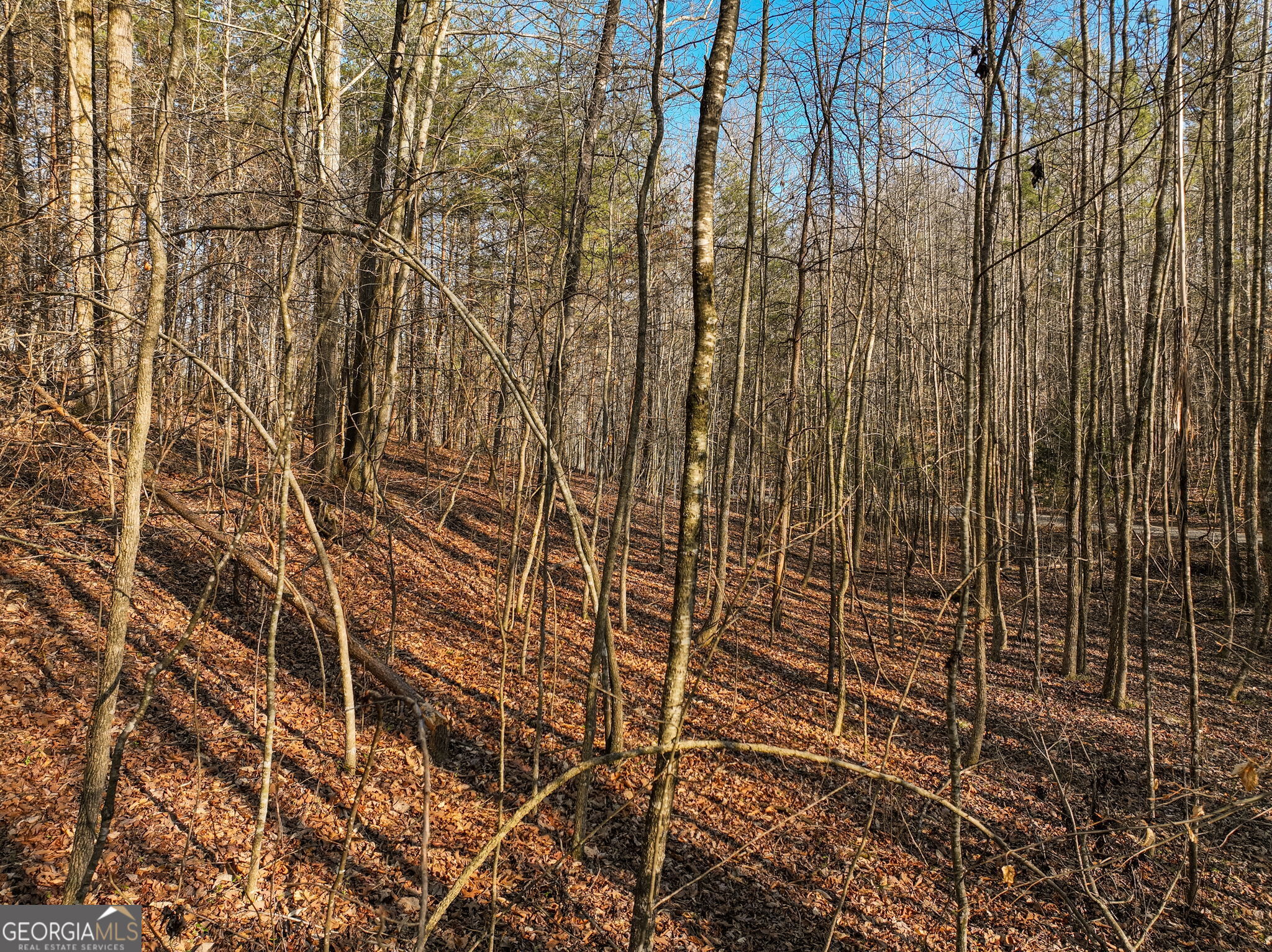 Lot 12 Mount Mincie Road Murrayville GA 30564