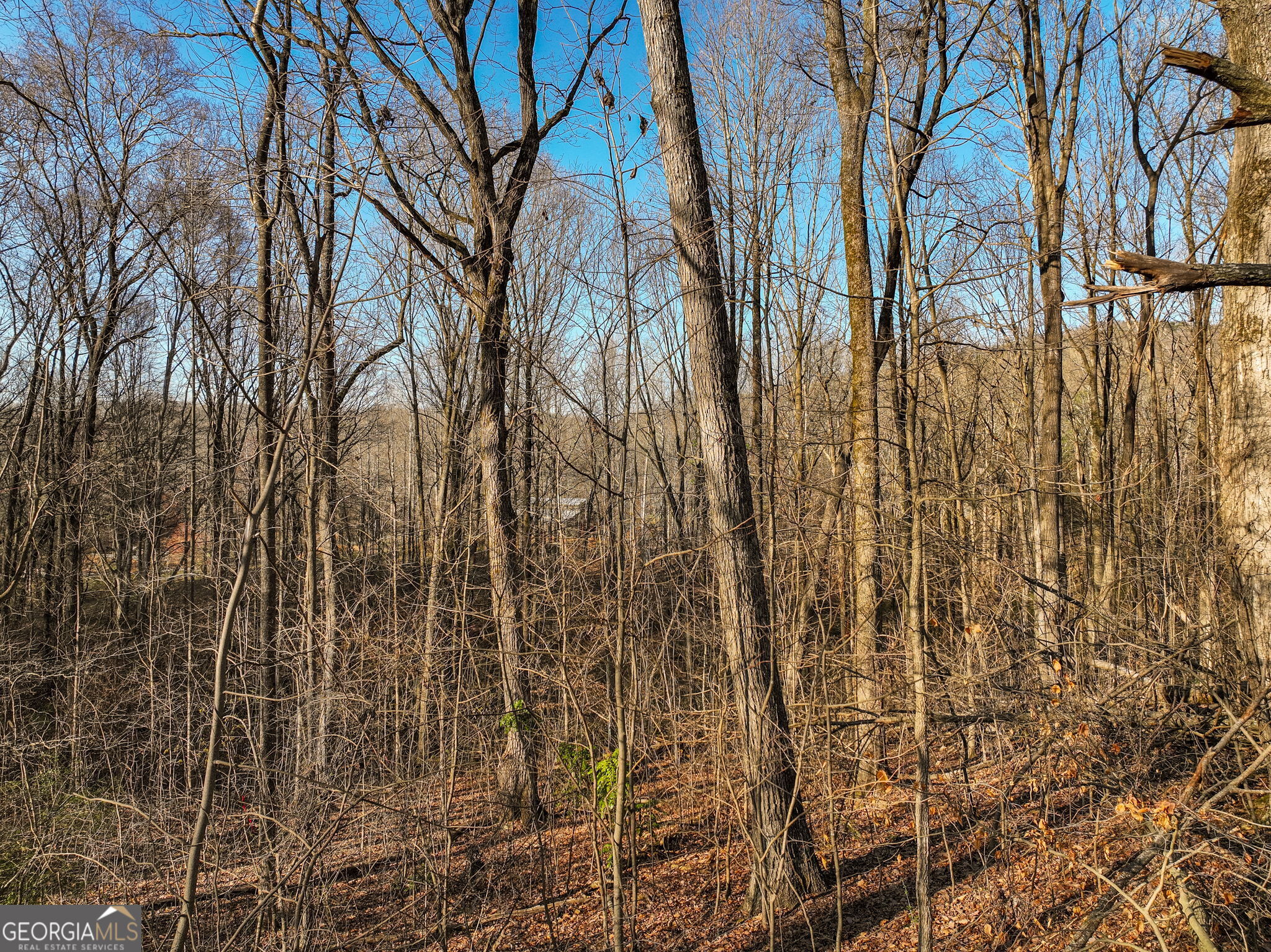 Lot 12 Mount Mincie Road Murrayville GA 30564