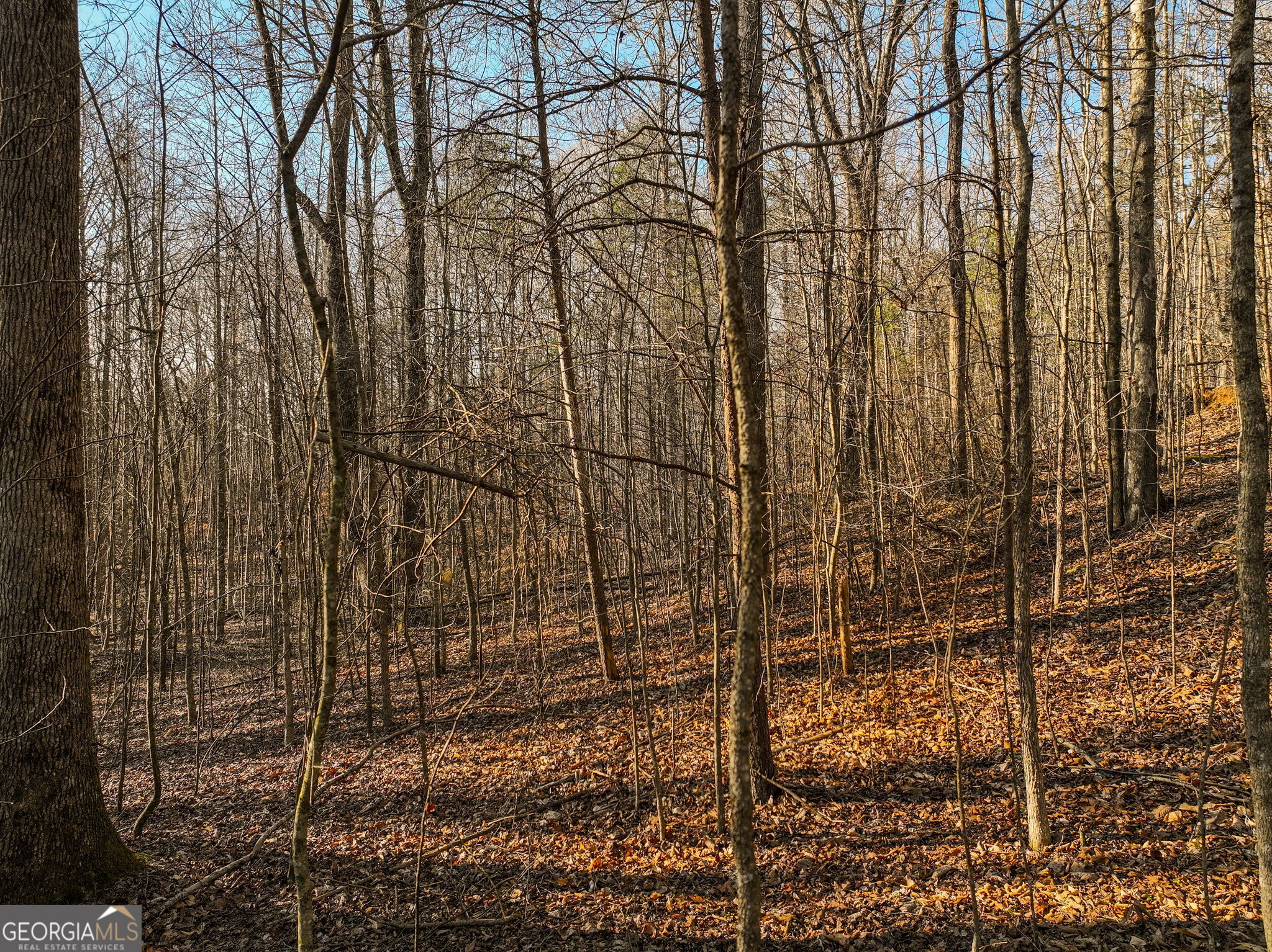 Lot 12 Mount Mincie Road Murrayville GA 30564
