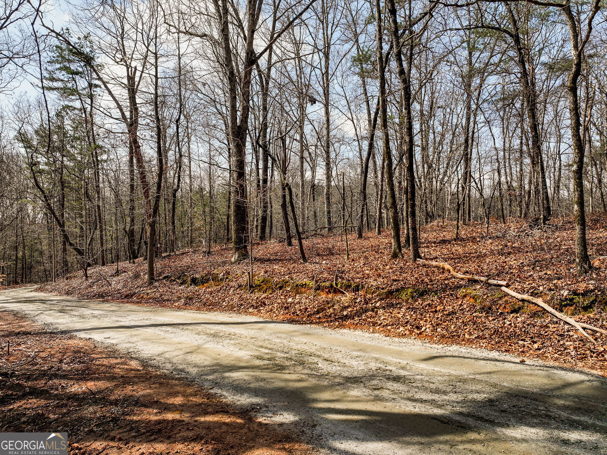 Lot 12 Mount Mincie Road Murrayville GA 30564
