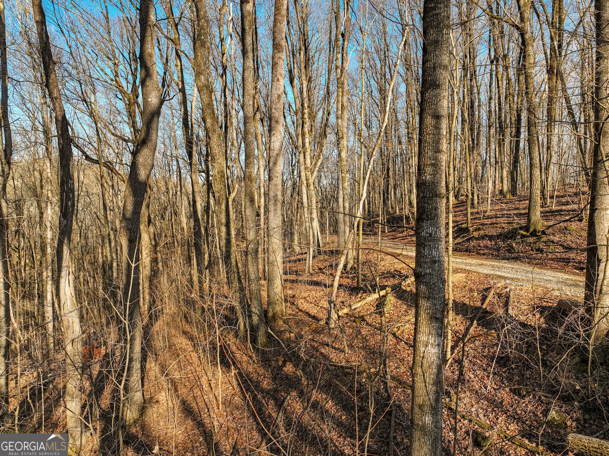 Lot 12 Mount Mincie Road Murrayville GA 30564