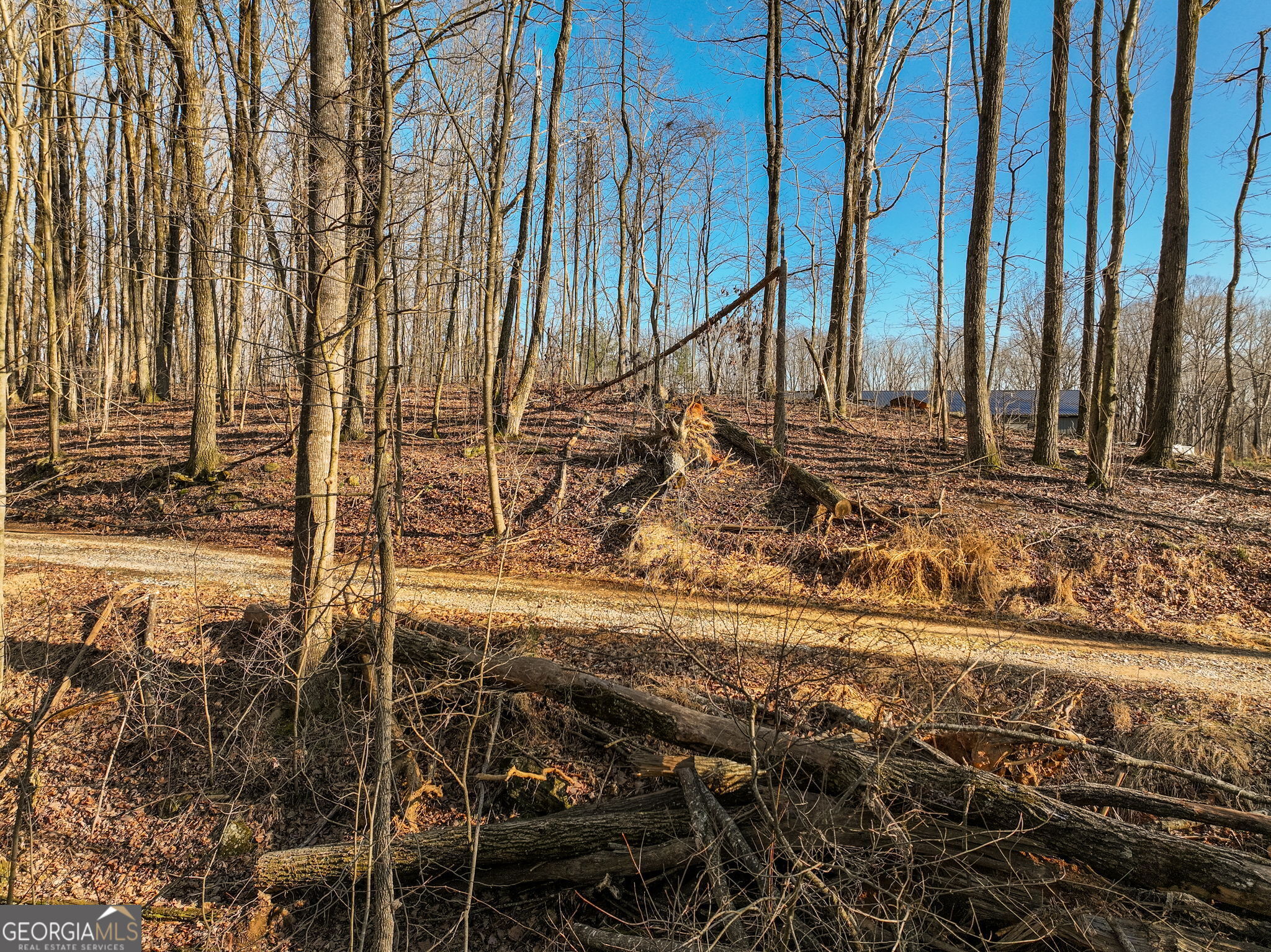 Lot 12 Mount Mincie Road Murrayville GA 30564