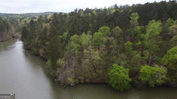 Lot #1 Frontier Shores Road Sparta GA 31087