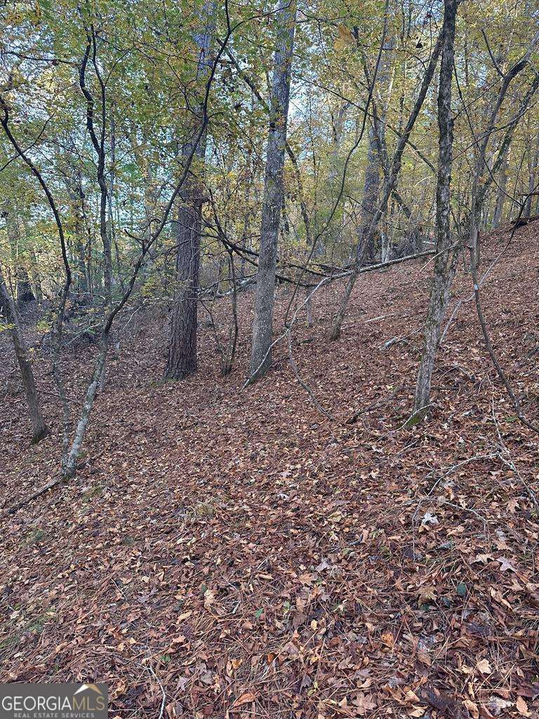 Lot #1 Frontier Shores Road Sparta GA 31087