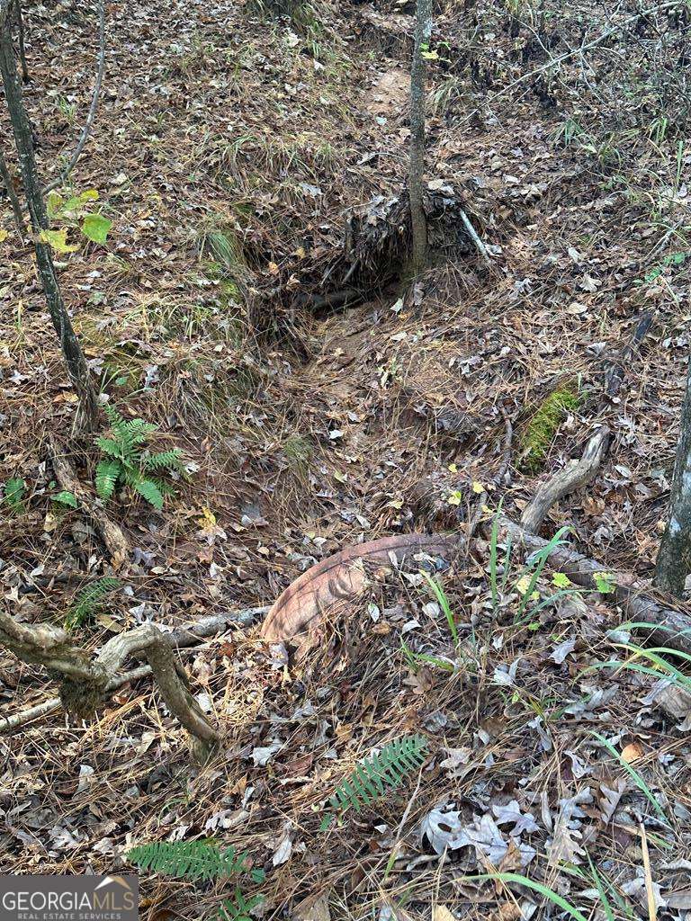 Lot #1 Frontier Shores Road Sparta GA 31087