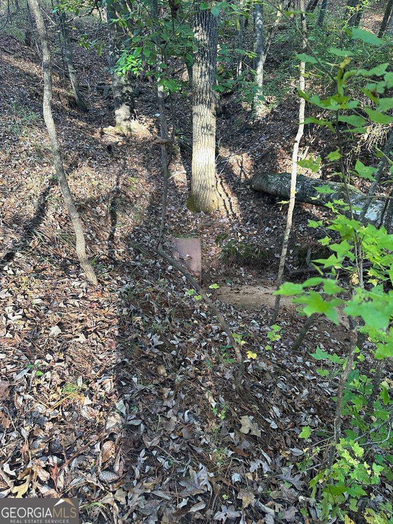 Lot #1 Frontier Shores Road Sparta GA 31087